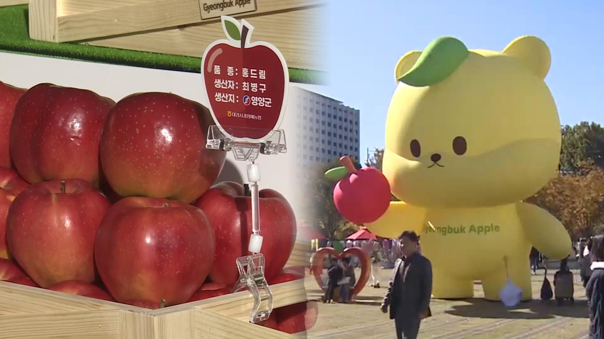 '꼭지 달린 온라인카지노 합법사이트' 사세요…경북온라인카지노 합법사이트 홍보행사