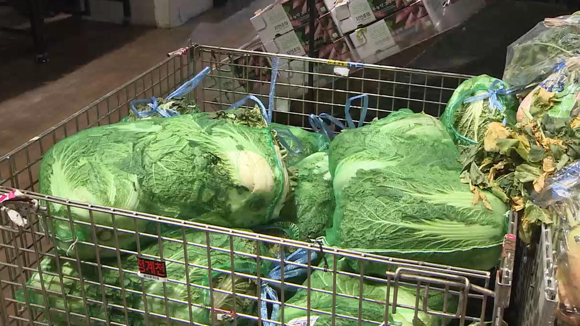 "올해는 김장 할래요"…배추·무 가격 안정에 온라인카지노 처벌전도