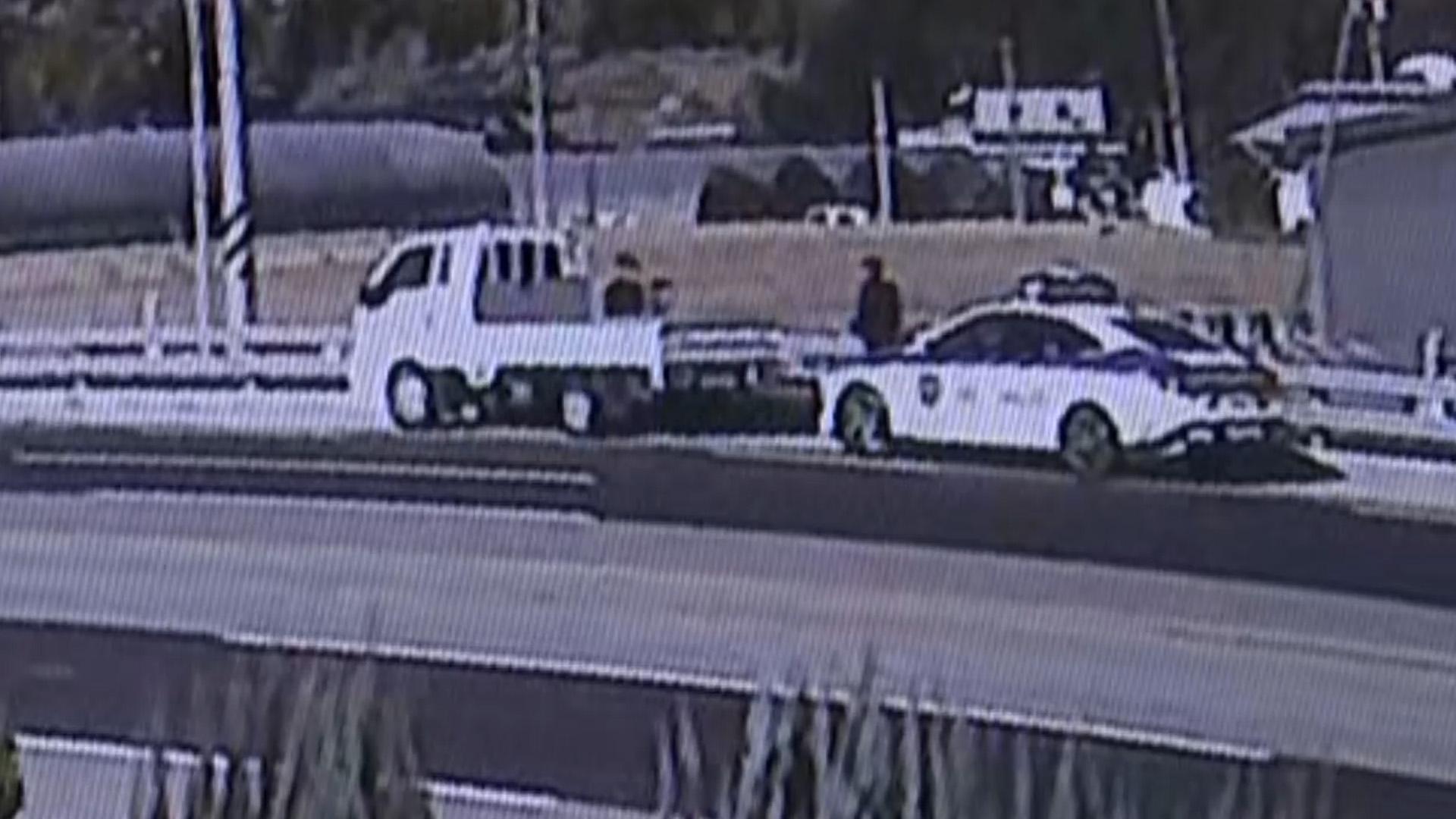 청주 마라톤선수 치어 '뇌사'…<em class='find'가온라인카지노 온카판</em "사람 못 봤다"