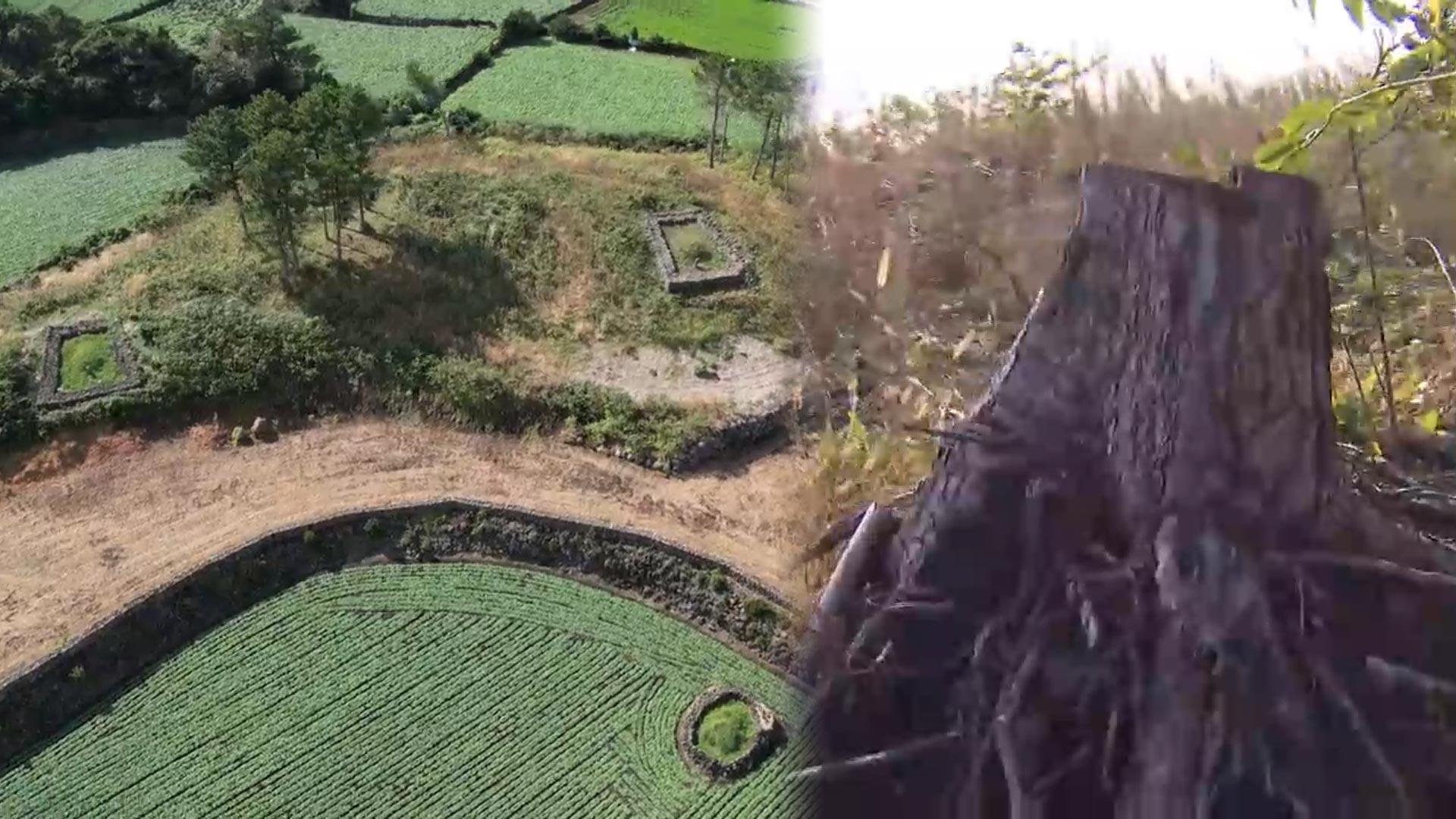 "약초 재배 거짓말" 꽁 머니 카지노문화유산 인근 산림 훼손