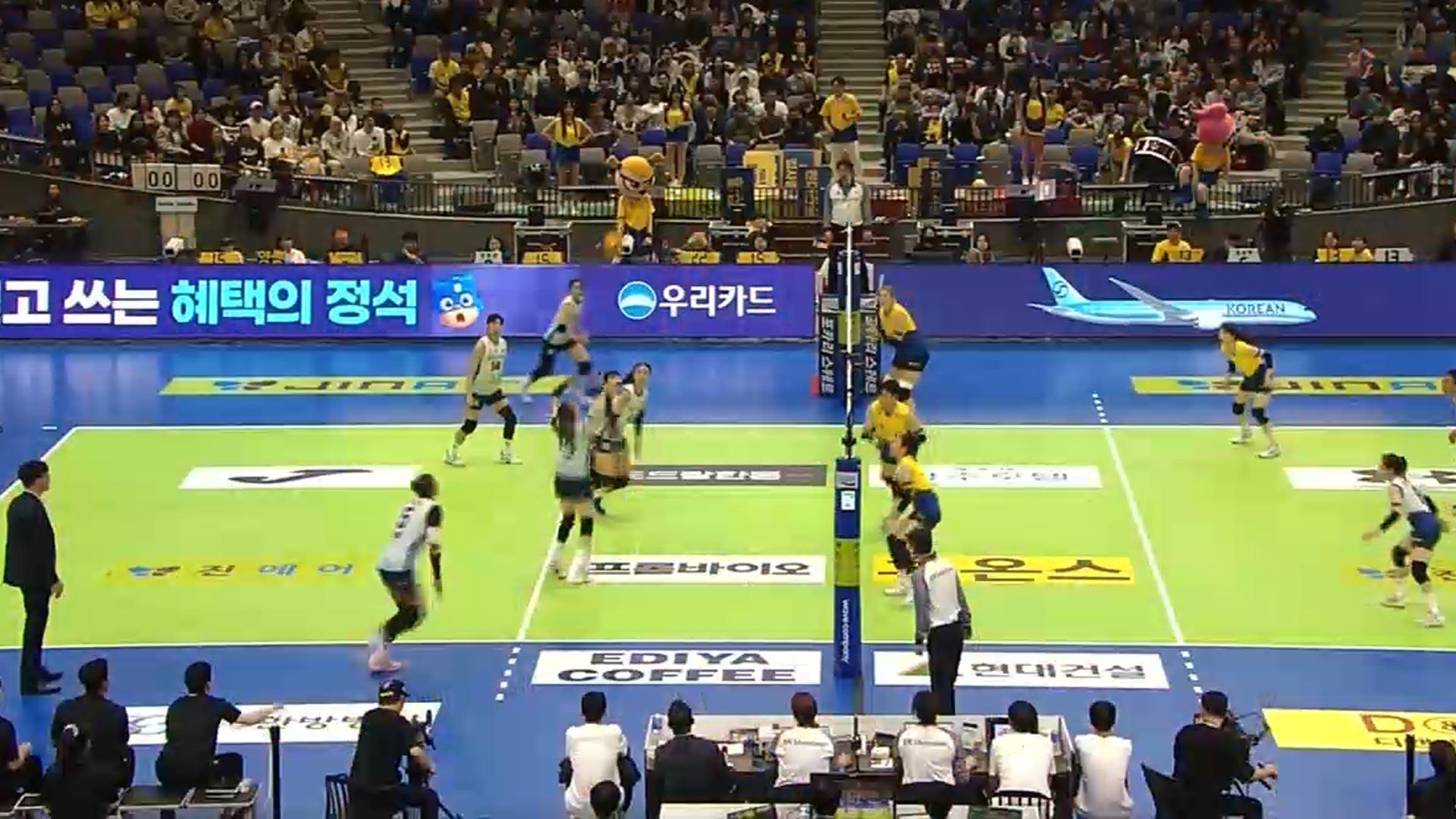 매년 반복되는 '몰빵 배구'…경쟁력은 어디로