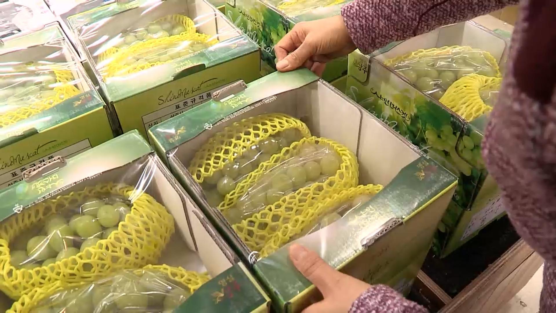 샤인머스캣 가격 3분의 1로 급락…거봉보다 저렴