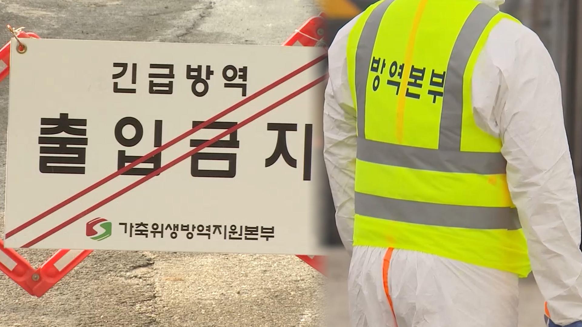 경기 화성 산란계 농장서 H5형 조류인플루엔자 확인