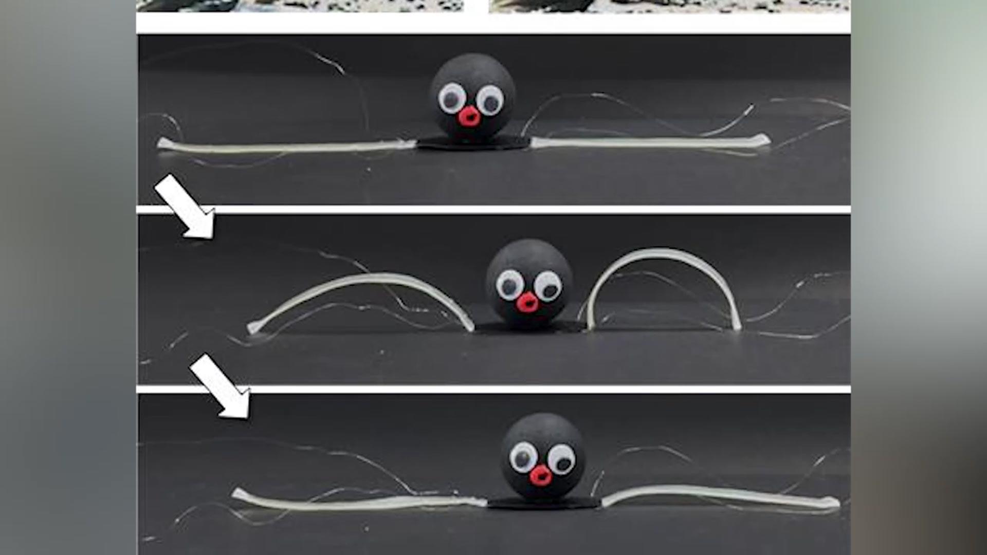 문어처럼 색 바꾸며 사냥…소프트 로봇 '옥토이드' 개발