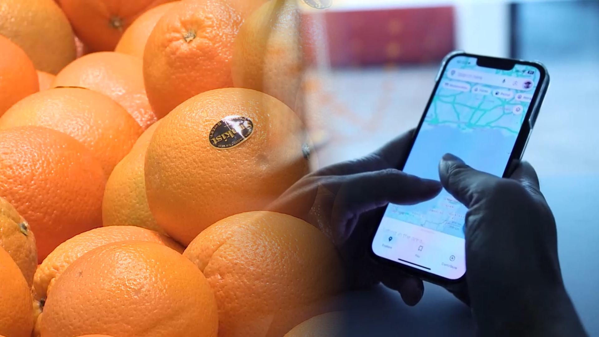 팩트시트 후속조치 속도…비관세장벽 완화 어디까지?