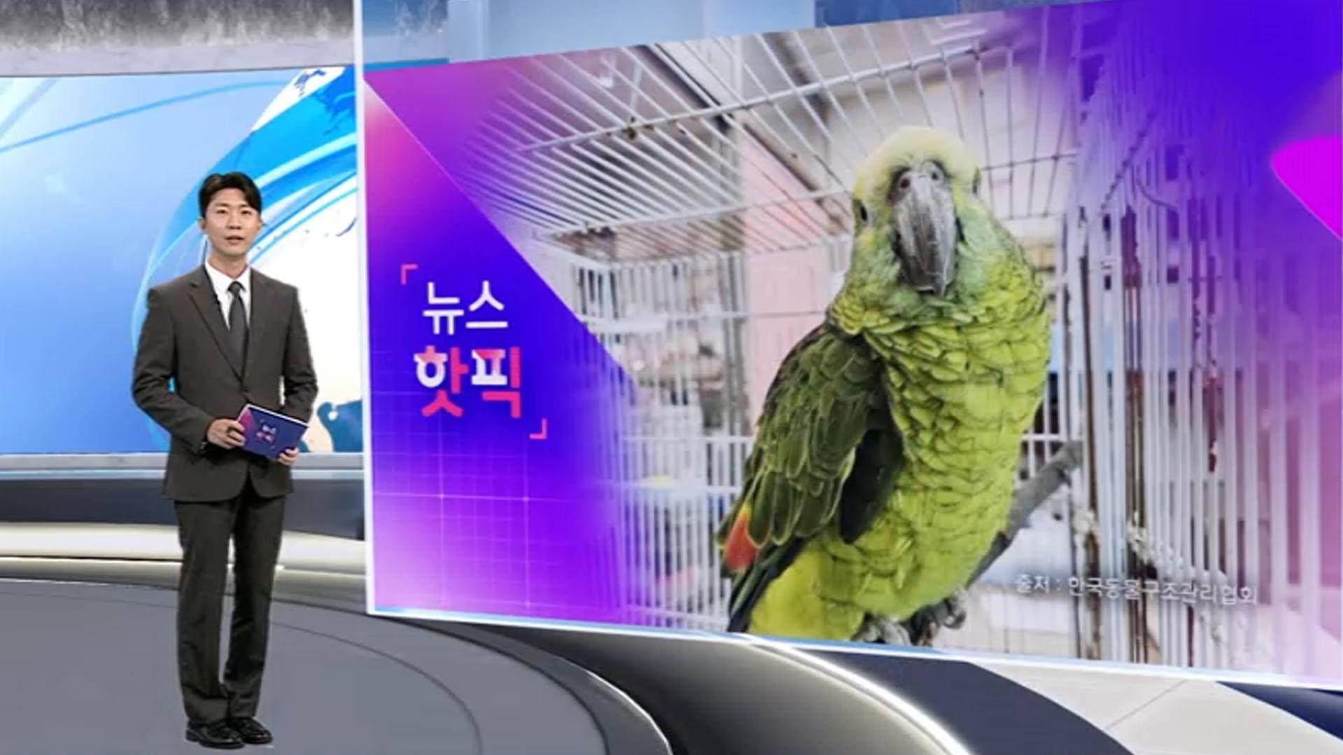 [온라인카지노 불법핫픽] 카페서 '홀짝홀짝' 손님 커피 마시다 걸린 온라인카지노 불법