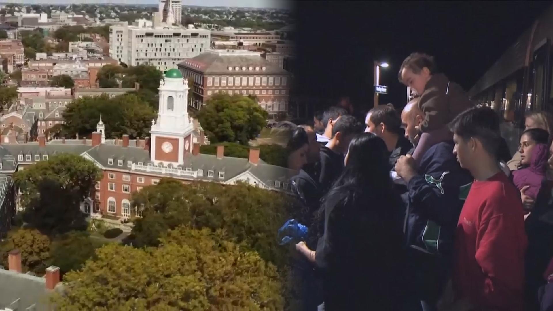 주요국 '빗장' 강화…美 신규 유학생 17% 감소