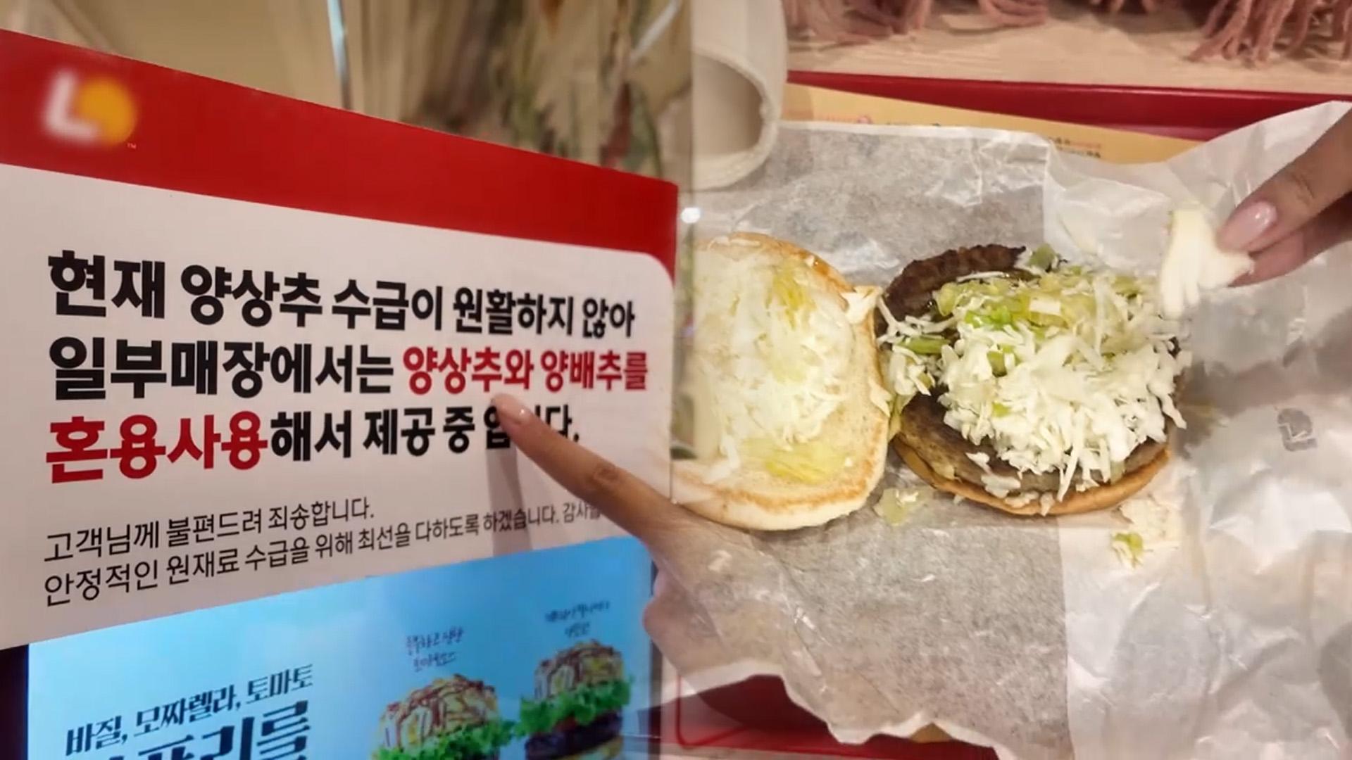 라이브카지노 수급 대란에…햄버거·샌드위치에 양배추