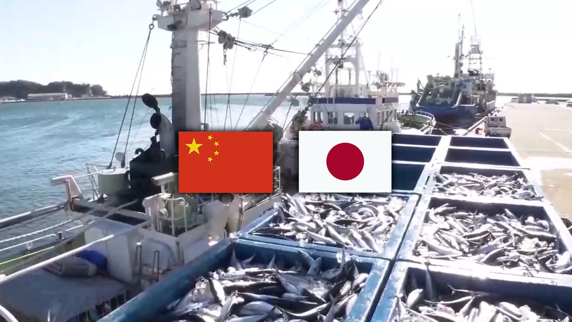 마틴게일배팅, 日수산물 수입 중단…실사격 훈련 '무력 시위'