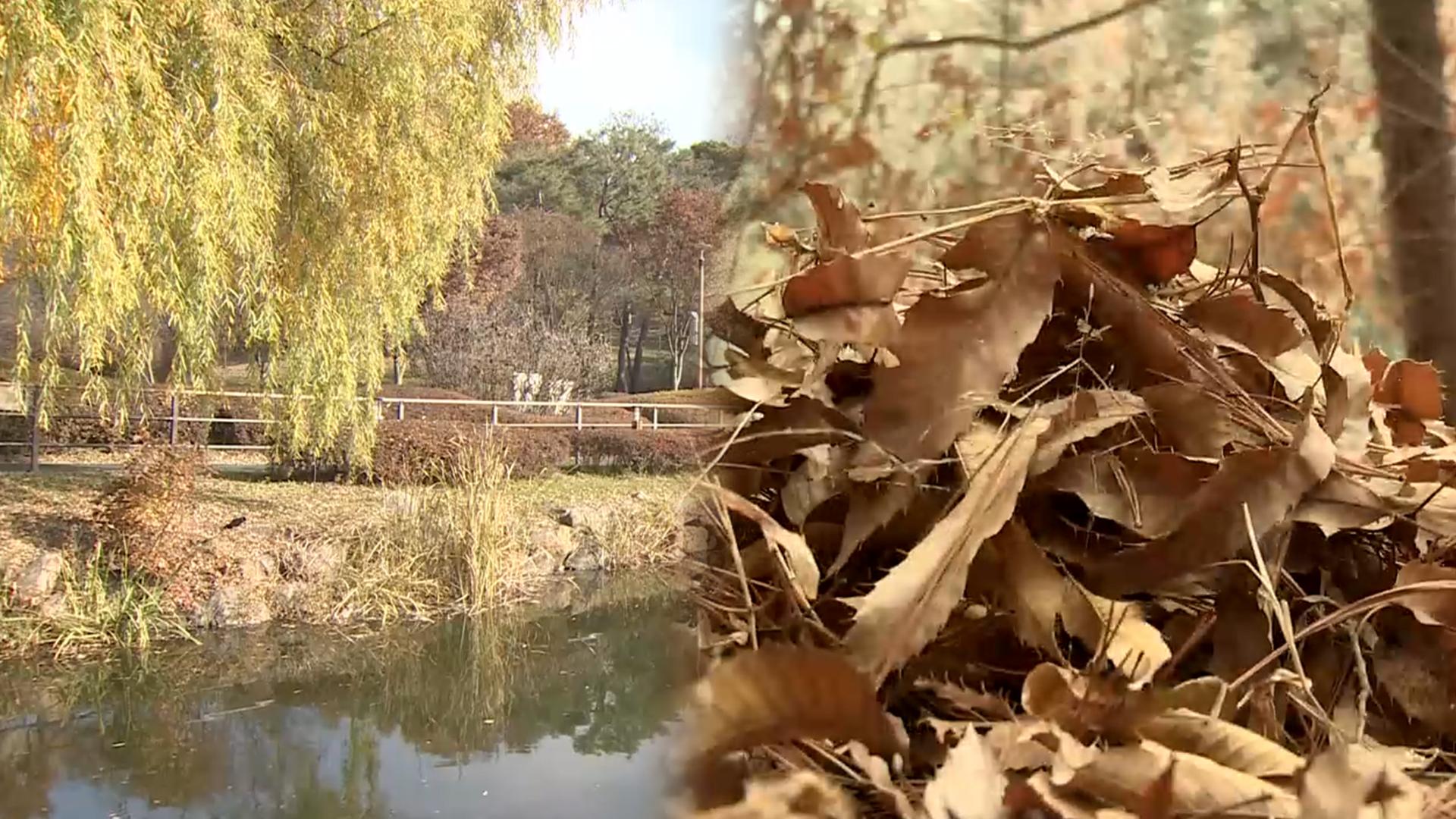 겨울 추위 점차 물러가…동해안 온라인카지노 처벌특보 '<em class='find'산불주의</em'