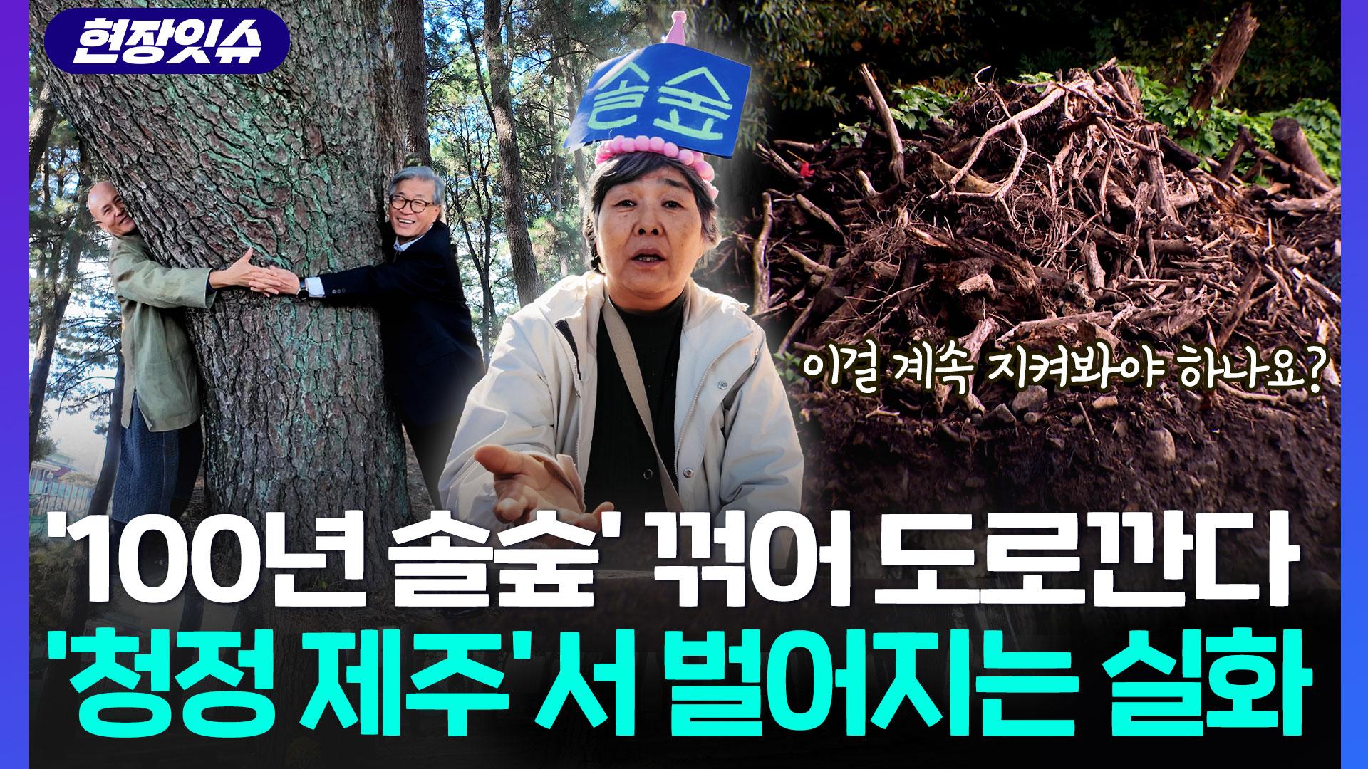 온라인카지노 사이트