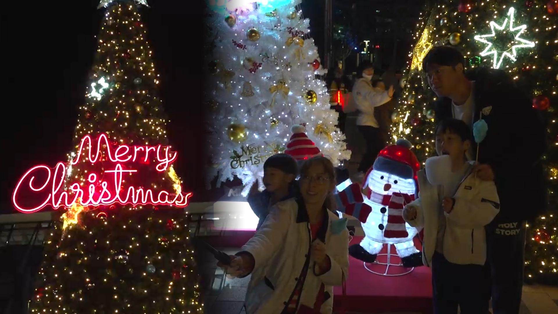 크리스마스 한 달 앞 '성큼'…세종 빛트리 온라인 카지노 사이트