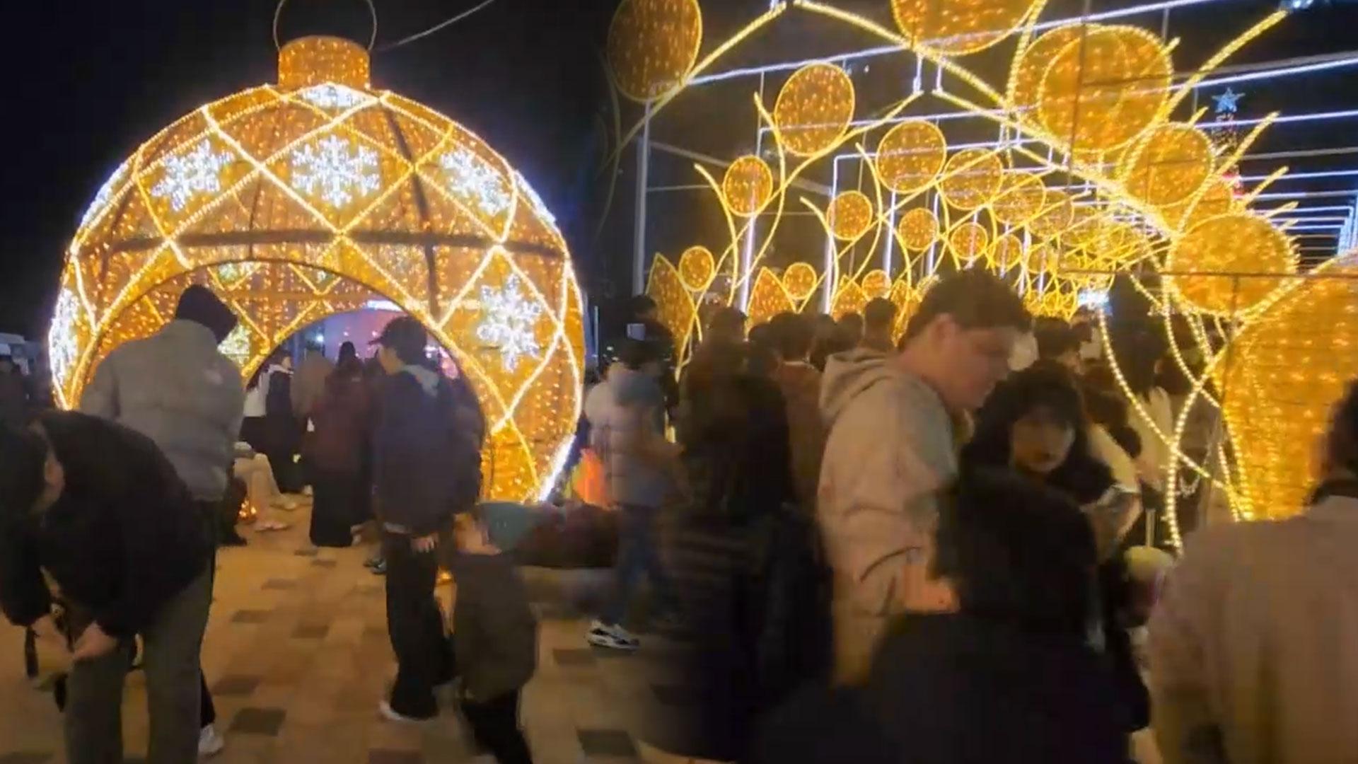 대형 트리부터 크리스마스 마켓까지…세종 빛트리 온라인 카지노 사이트