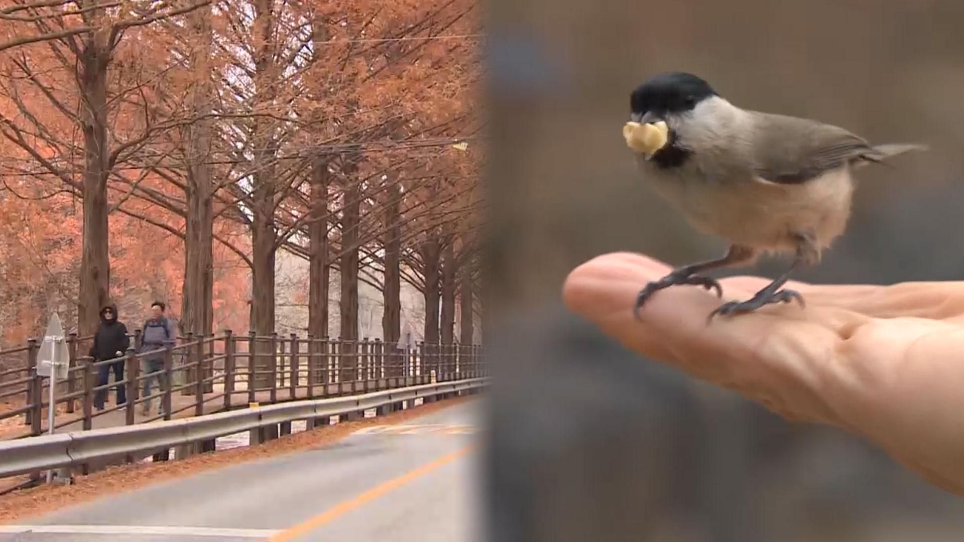 알록달록 늦가을 정취 가득…<em class='find'한국-no-1-온라인카지노</em 나들이