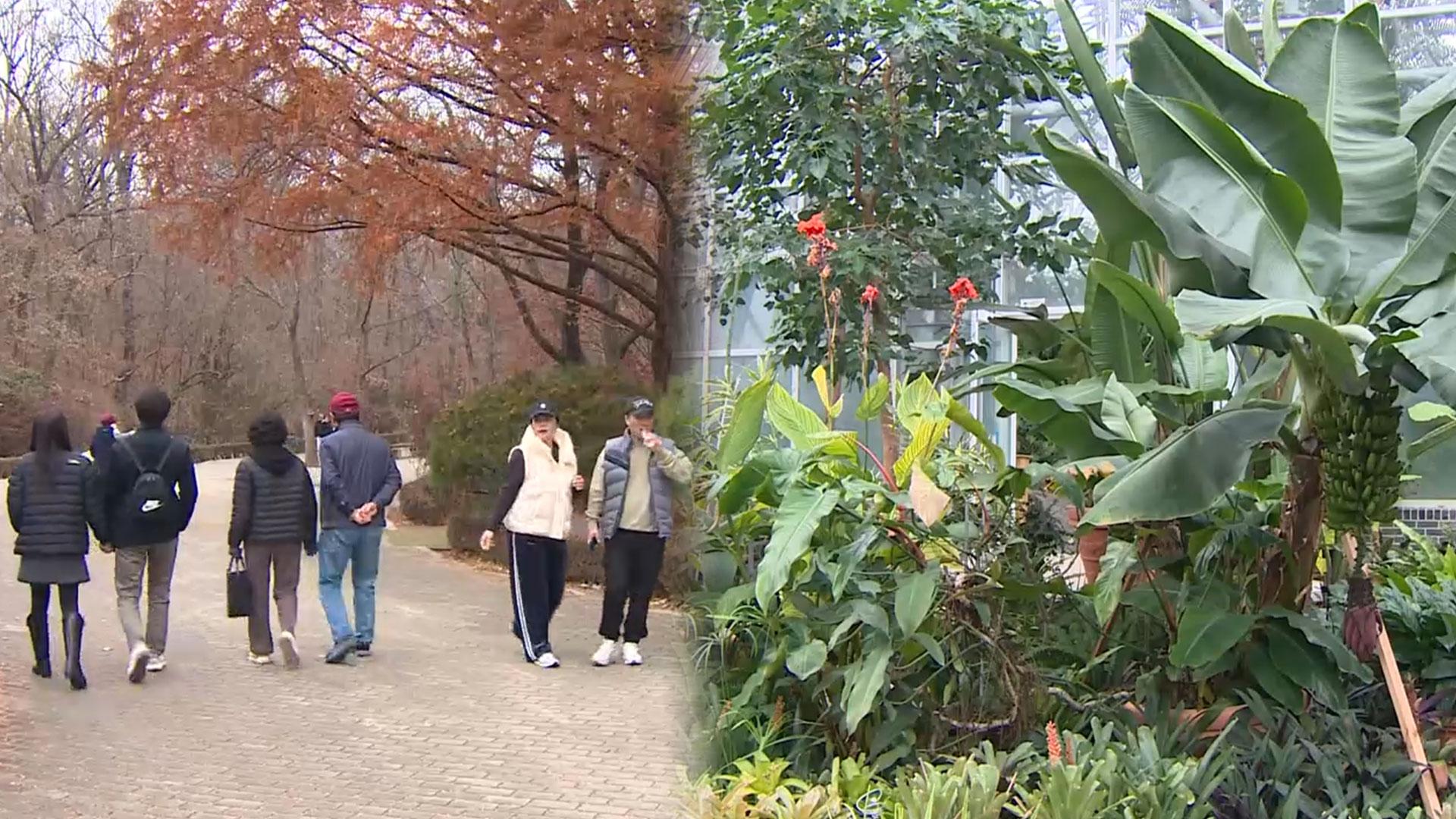 가을 끝자락에 <em class='find'한국-no-1-온라인카지노</em 나들이…참나무 전시도