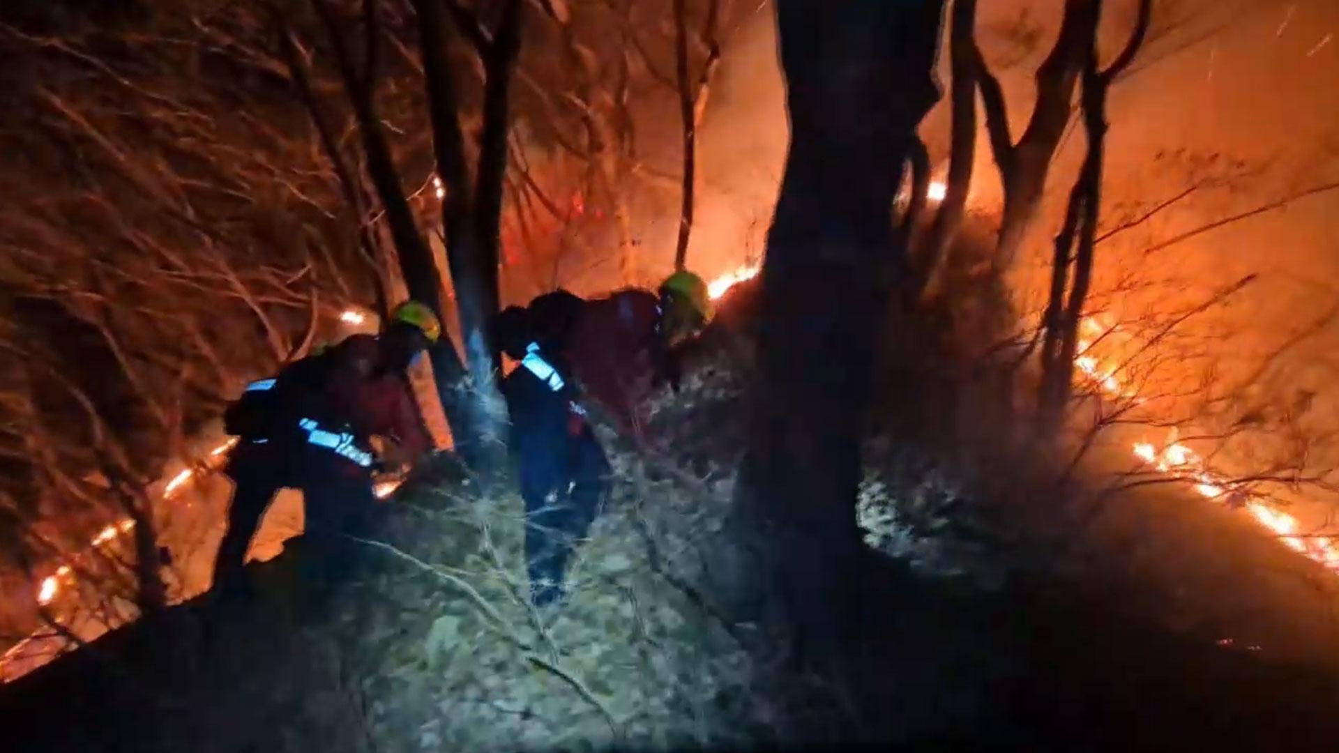 [온라인카지노 장점 벳무브초점] 전국 곳곳서 잇딴 온라인카지노 장점 벳무브…원인과 대책은