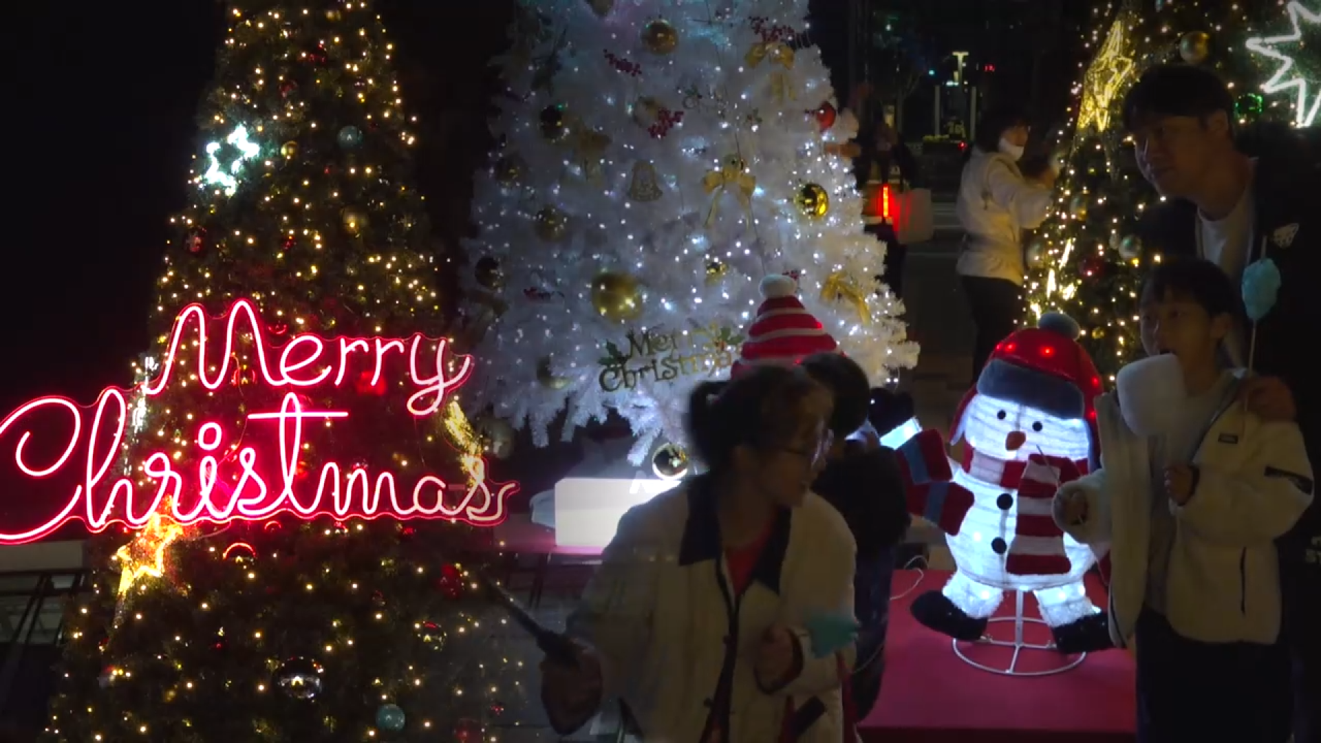 크리스마스 한 달 앞 '성큼'…화려한 빛트리 온라인 카지노 사이트 열려