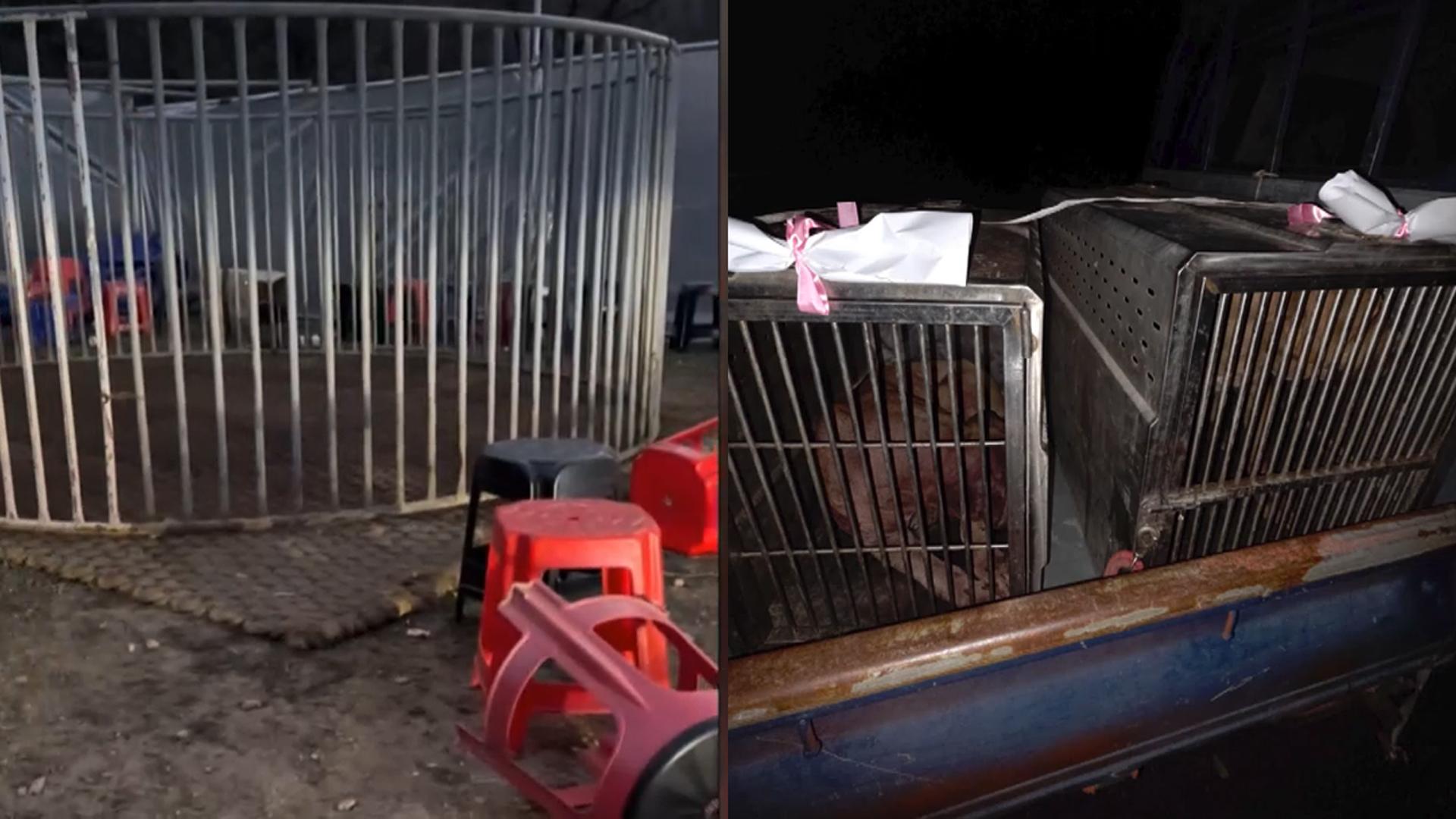 "<em class='find'온라인카지노 벌금 유니88벳</em 야산에 투견판"…현장서 40여명 체포