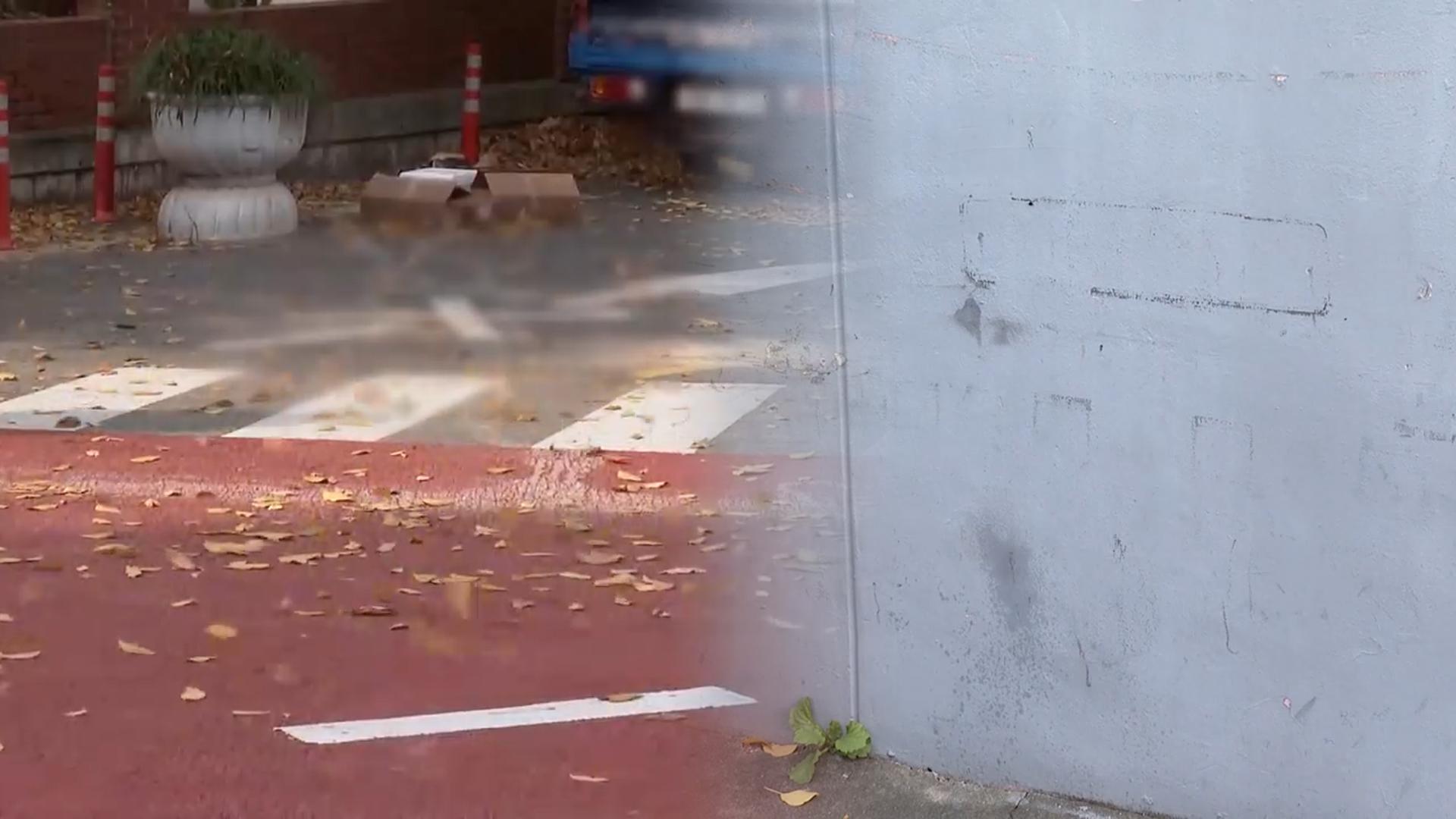 온라인카지노 후기 벳엔드서 유턴하던 SUV가 모녀 돌진…초등생 <em class='find'딸</em 숨져