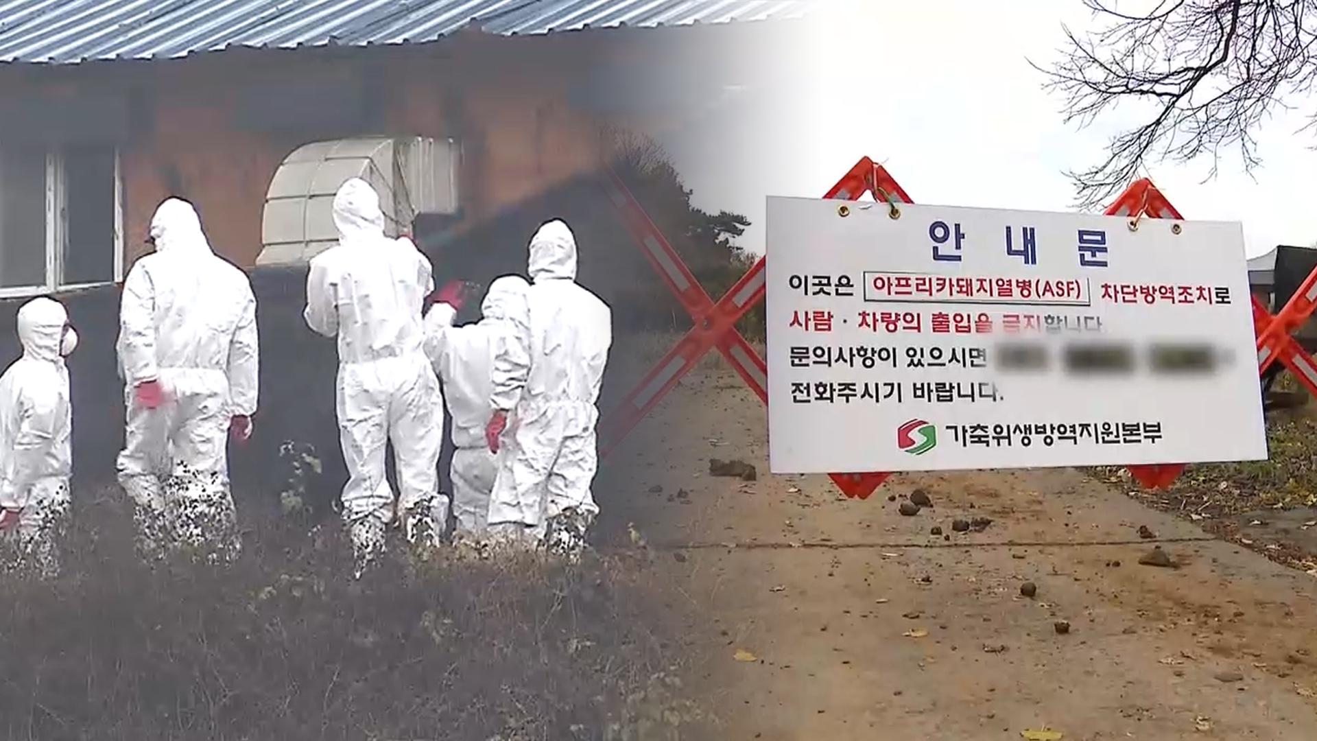 충남 첫 <em class='find'아프리카온라인카지노 장점 벳위즈</em…전국 일시이동중지 명령