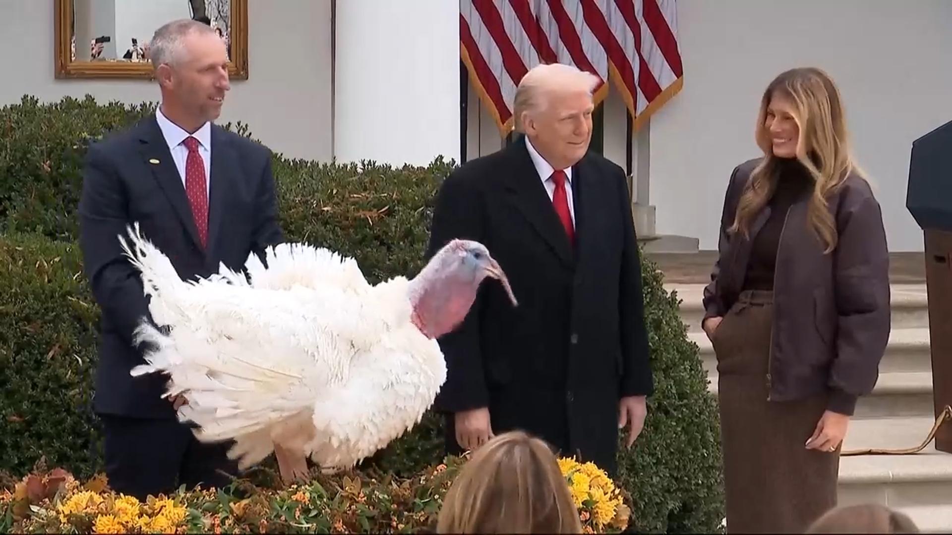 사면될 칠면조 이름이 '척과 낸시'?…트럼프 "사면 못해"