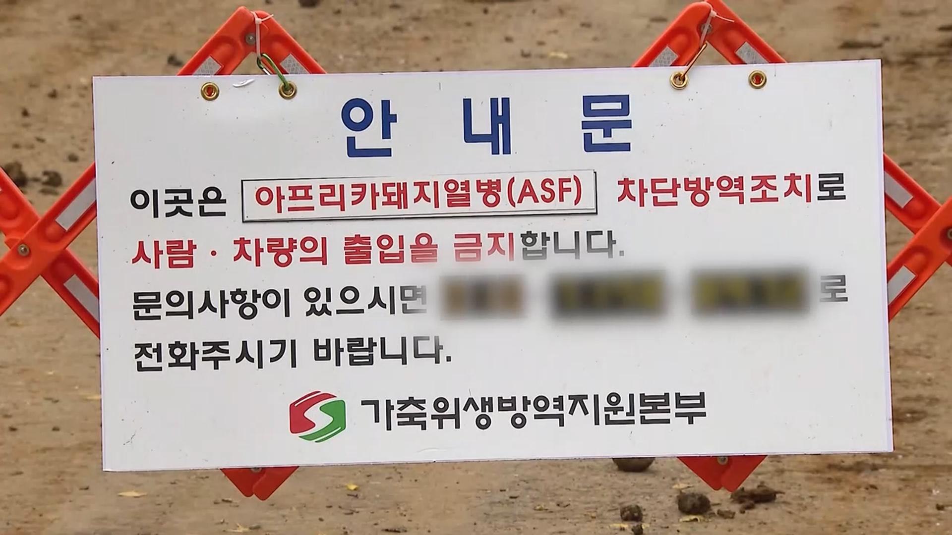 충남 첫 아프리카돼지열병…전국 일시 온라인카지노 슬롯중지 명령
