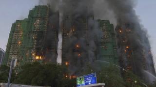 온라인카지노 경찰 벳무브