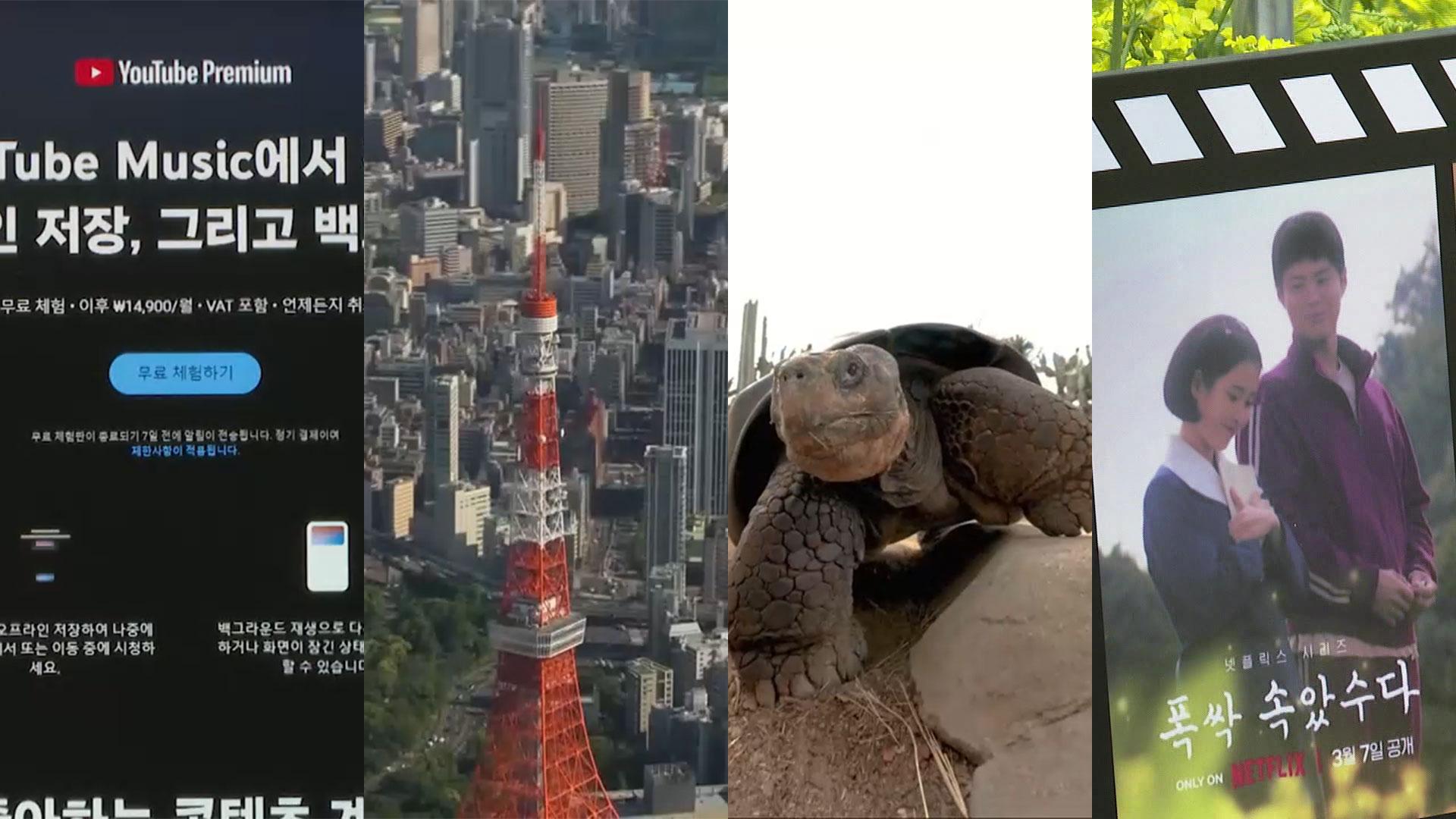 [핫클릭] 구글, 8,500원 유튜브 라이트 국내 출시…1년간 가격 동결 外