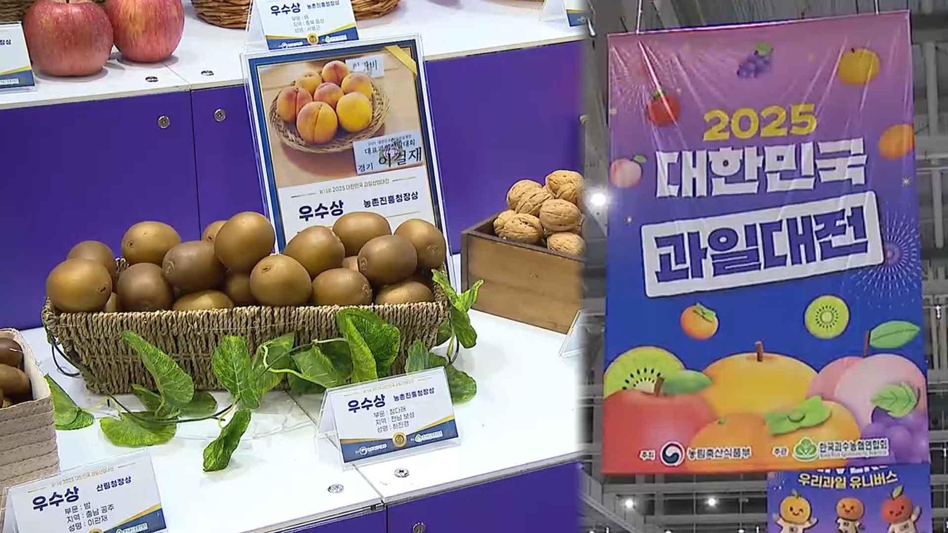 대표 카지노배팅법 한자리에…2025 대한민국 카지노배팅법산업대전