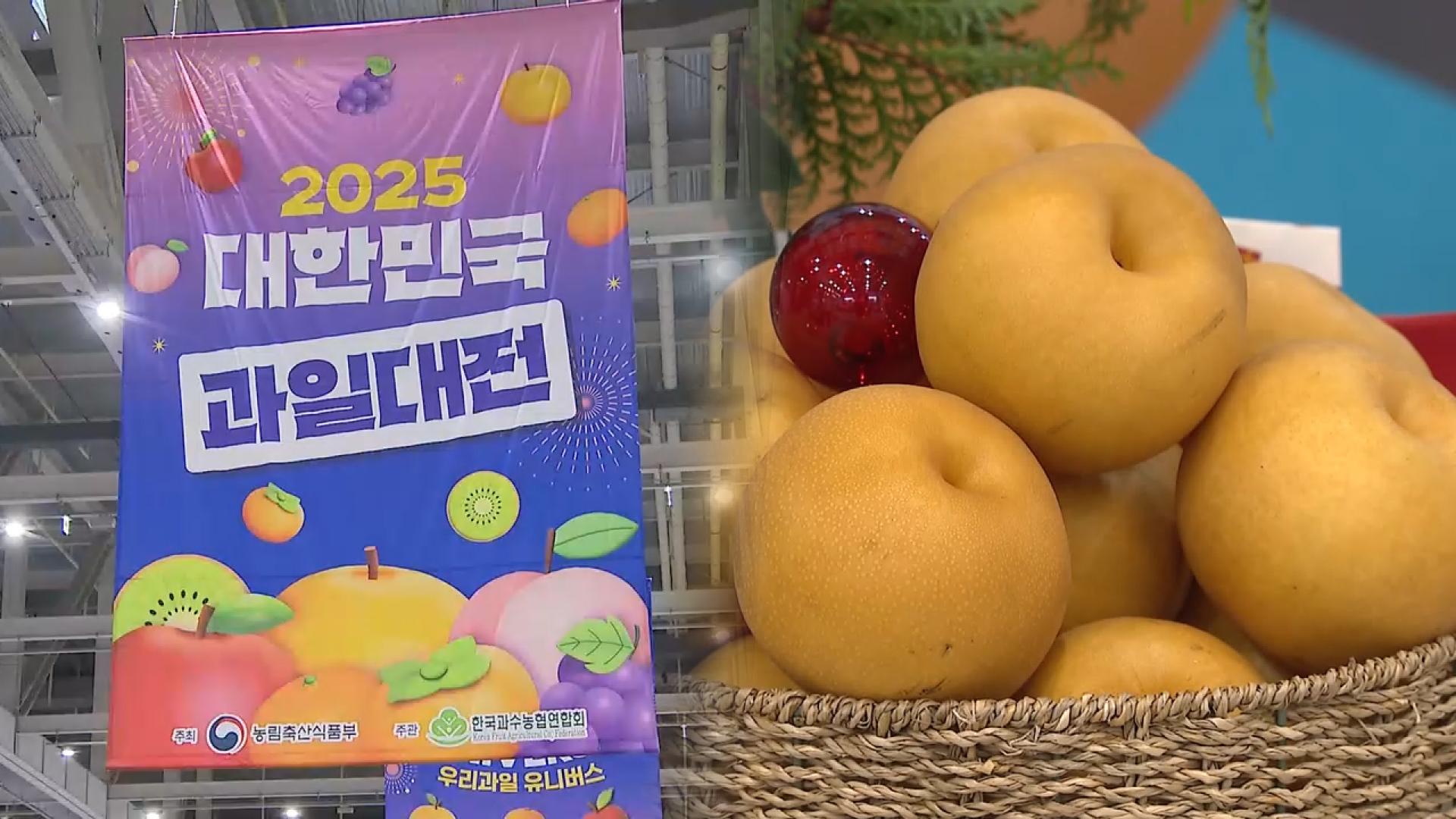 카지노배팅법 산업의 현재와 미래…대한민국 카지노배팅법산업대전