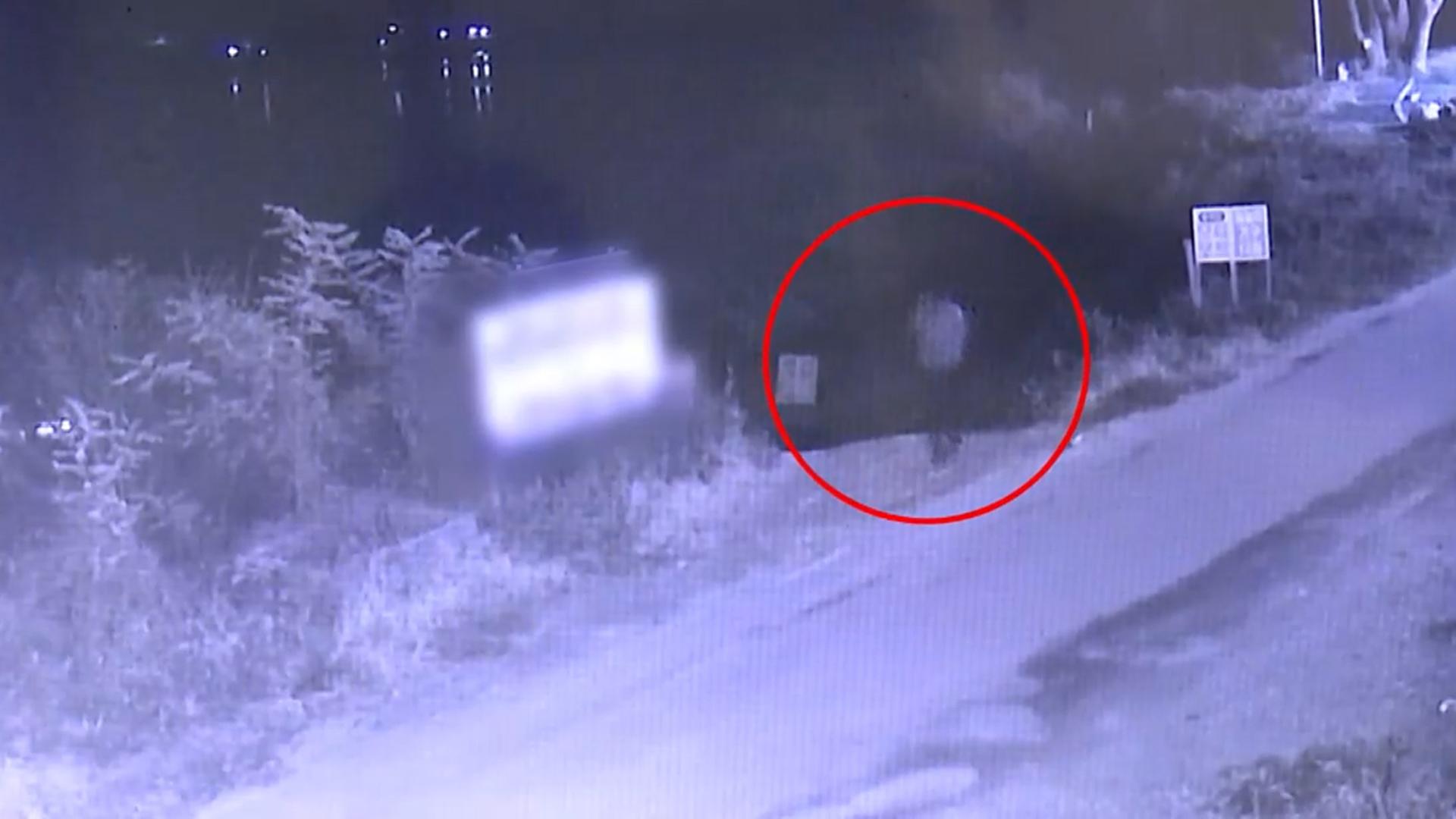 '청주 실종 여성' 피의자 살인 자백…실종자 시신 발견