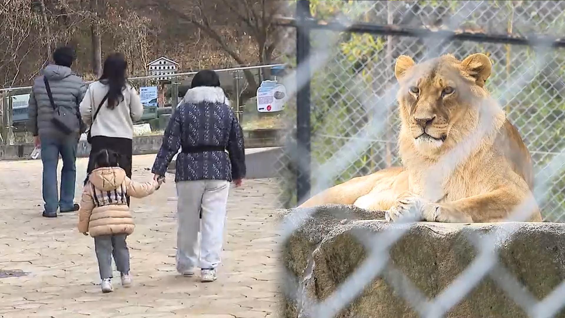 막바지 가을 나들이…청주온라인카지노 조작 유니88 나들이객 '북적'