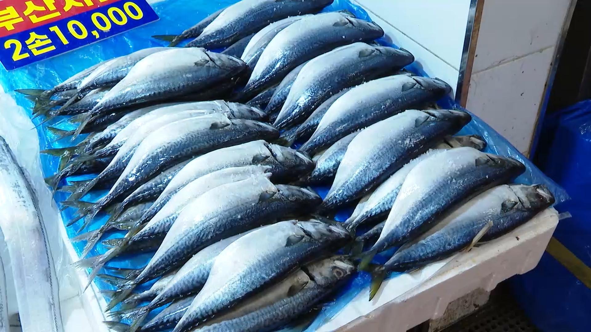 고등어 지난달 생산량 62% 급감…온라인카지노 벳엔드 11% '쑥'