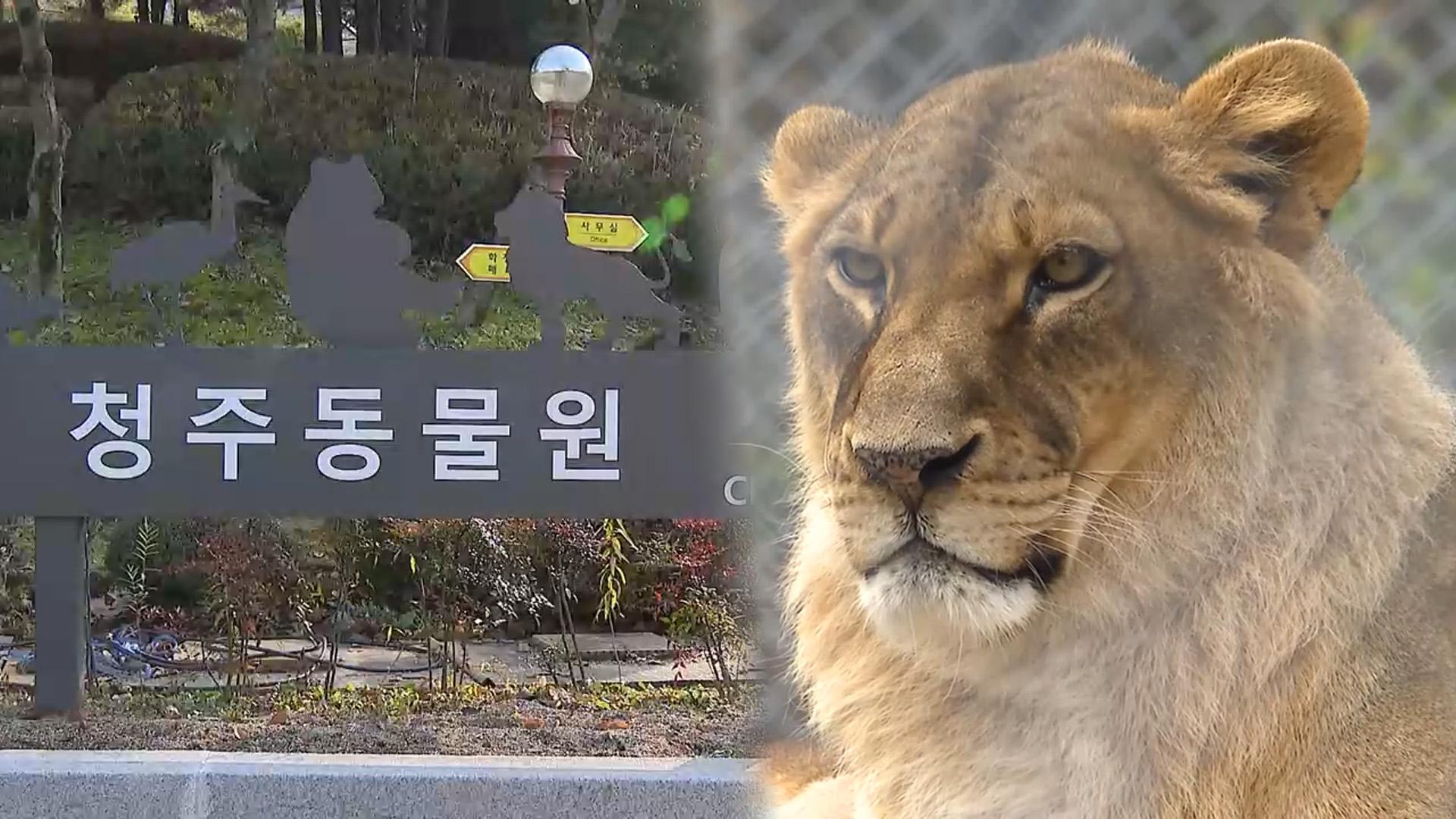 새 단장한 청주온라인카지노 조작 유니88 나들이객 '북적'…동물복지 '선도'