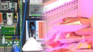 메이저카지노사이트