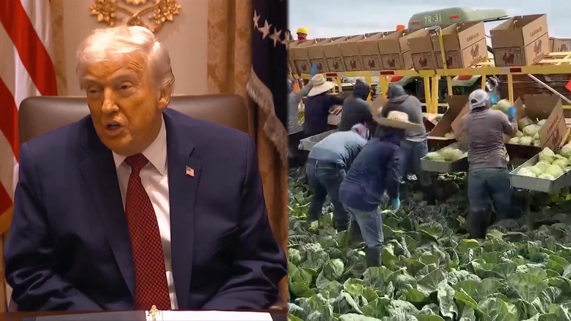 트럼프, 농가에 17조 지원…관세 수익온라인카지노 불법 유니88벳 민심 달래기