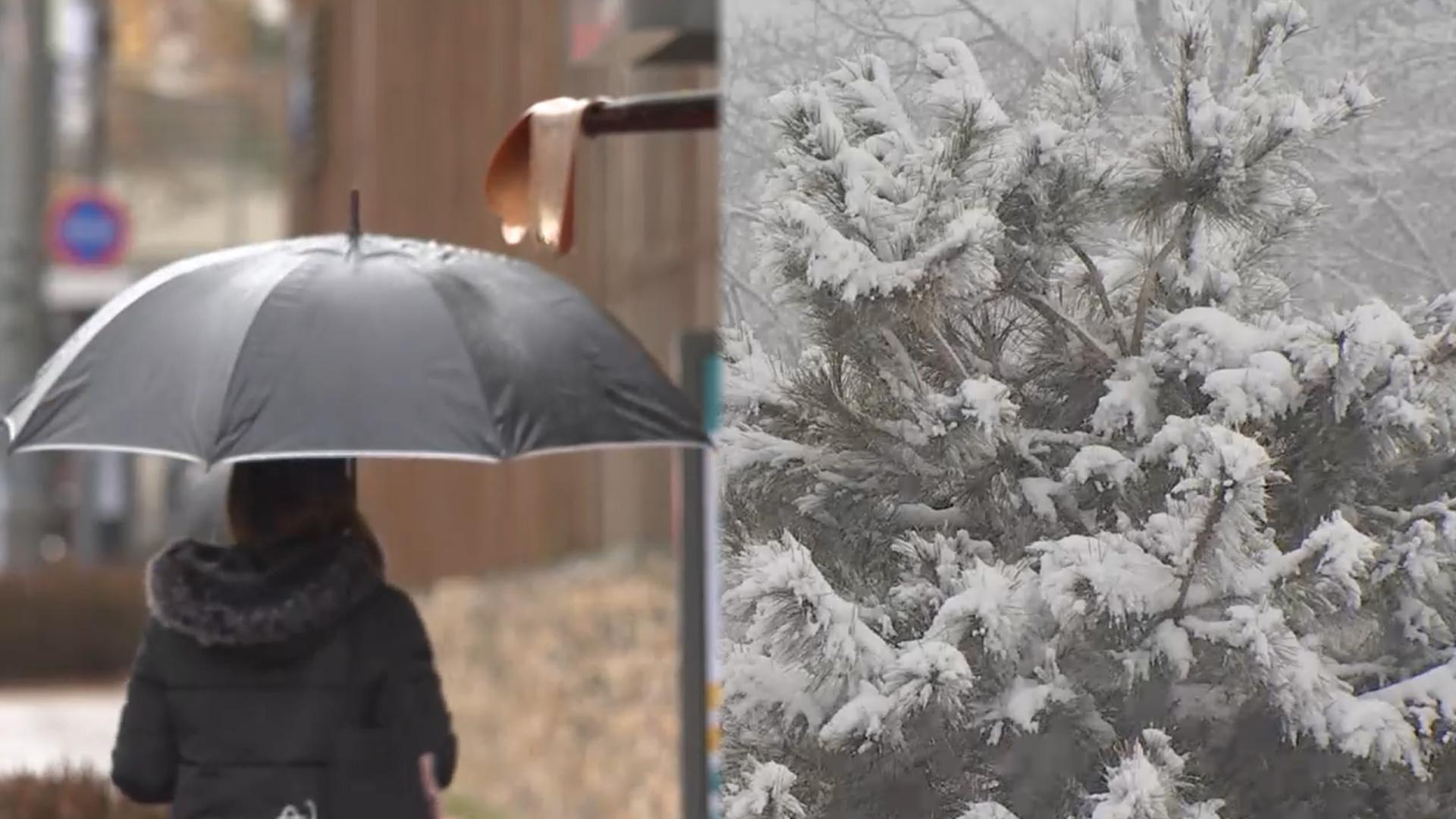 온라인카지노 벳엔드 약한 겨울비…강원 산지 최대 10㎝ 많은 눈