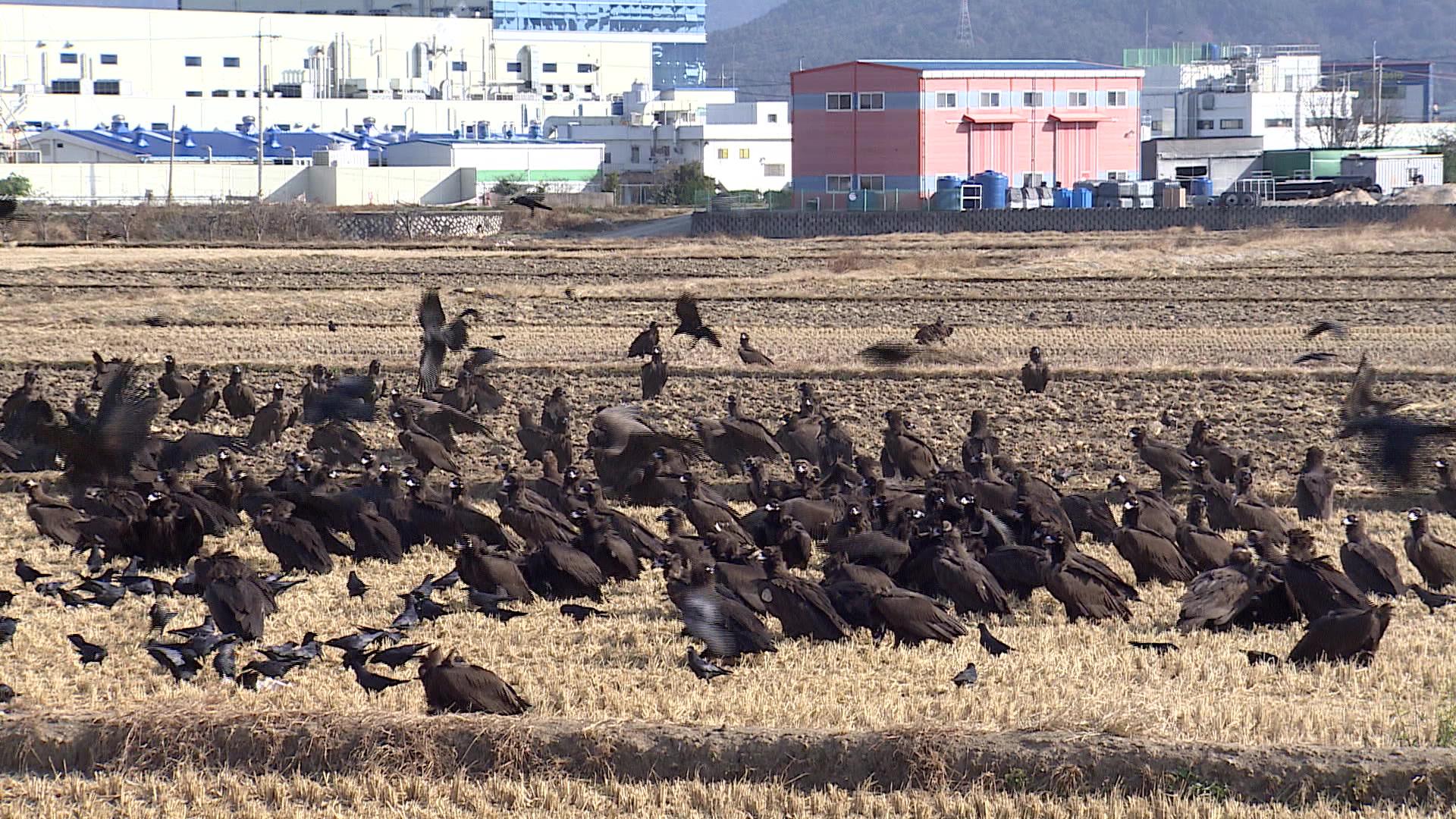 "따뜻한 남쪽으로"…몽골서 온 온라인카지노 합법 유니벳 손님들
