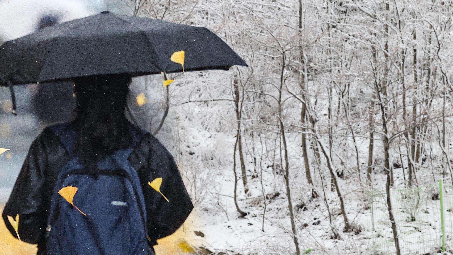 카지노배팅법 전국 눈·비…강원 최고 15㎝ 폭설 예보
