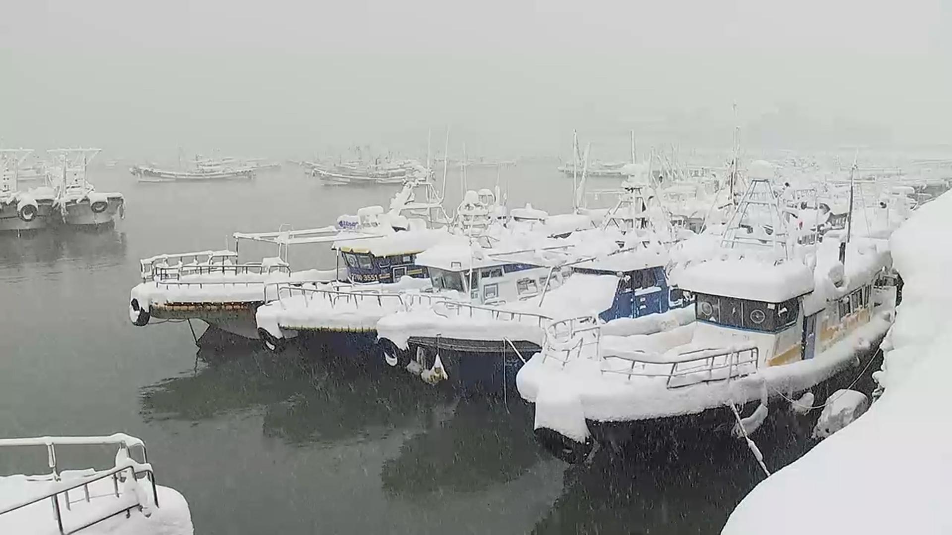 내일은 충남·호남 서해안 대설…태풍급 강풍도 동반