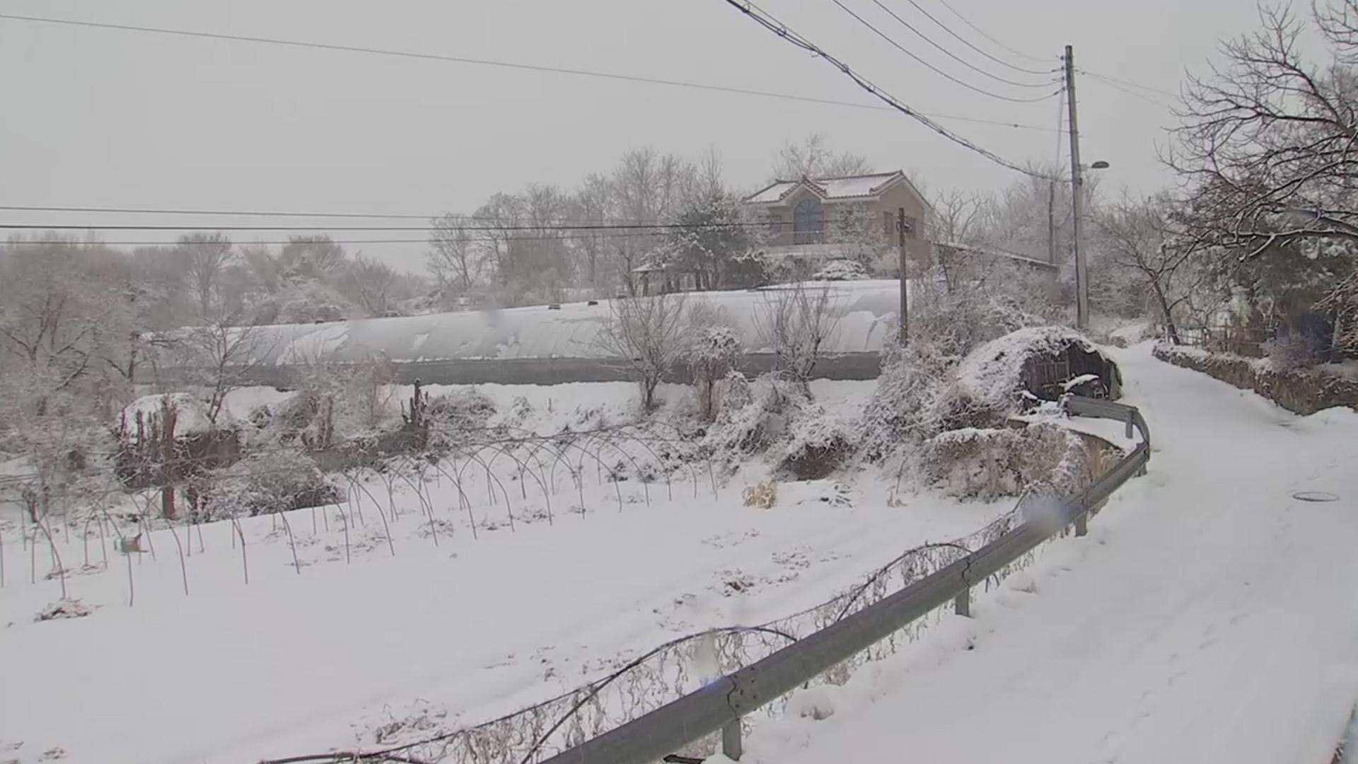 [속보] 기상청, 오후 1시 강원 화천·양구 대설주의보 발효