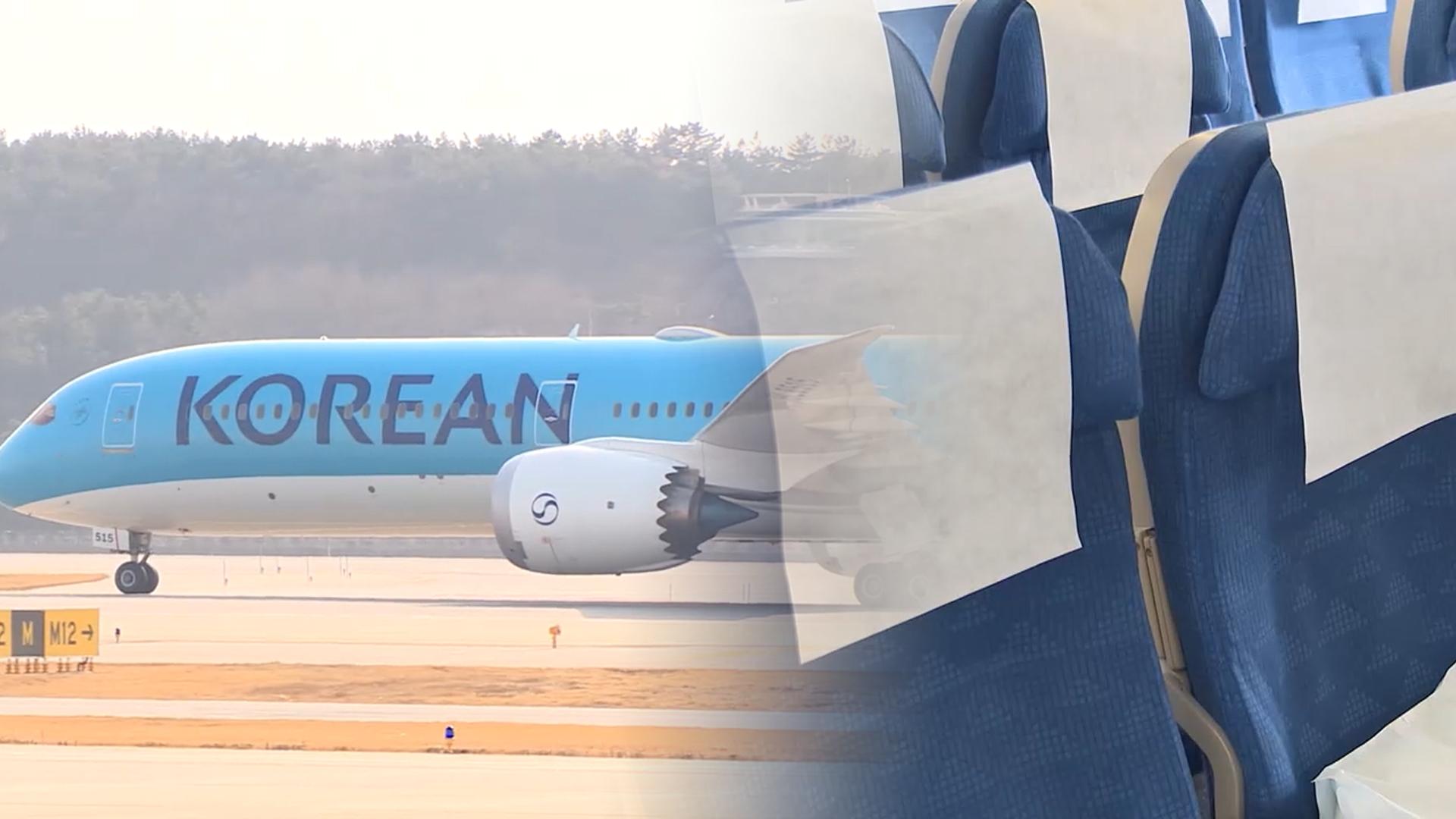 '좌석 수' 줄인 대한온라인카지노 총판 벳위즈 이행강제금…마일리지 통합안 '보완' 요구