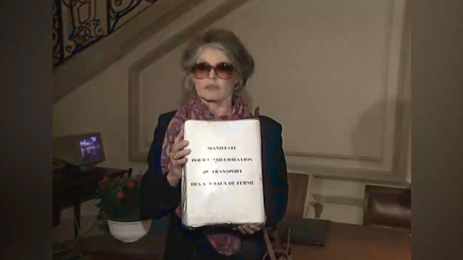 '한국 보신탕 문화 비판' 배우 <em class='find'브리지트</em <em class='find'온라인카지노 순위</em 별세