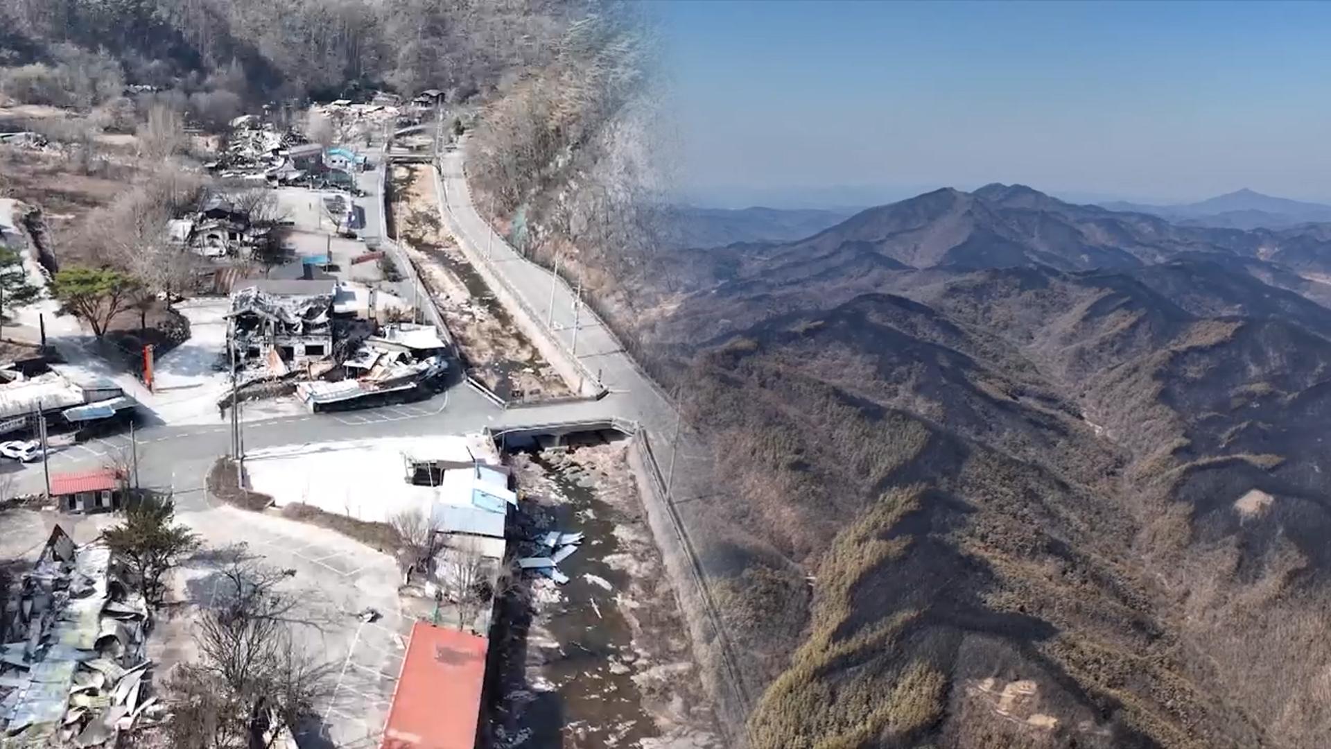'초대형' 산불 휩쓸고 간 영남…"공동체 복구 절실"