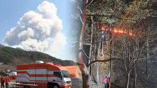 건조한 날씨에 내륙 곳곳 산불주의보...위험 전망 '높음'
