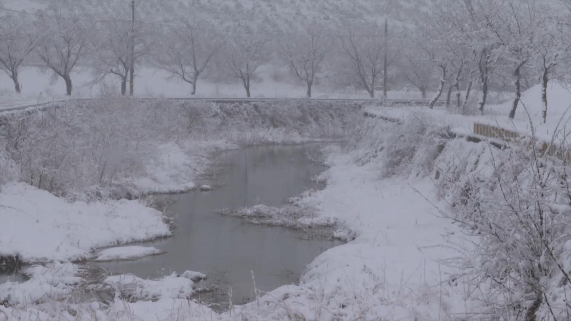 내륙 강풍 동반 눈보라…밤부터 매서운 한파