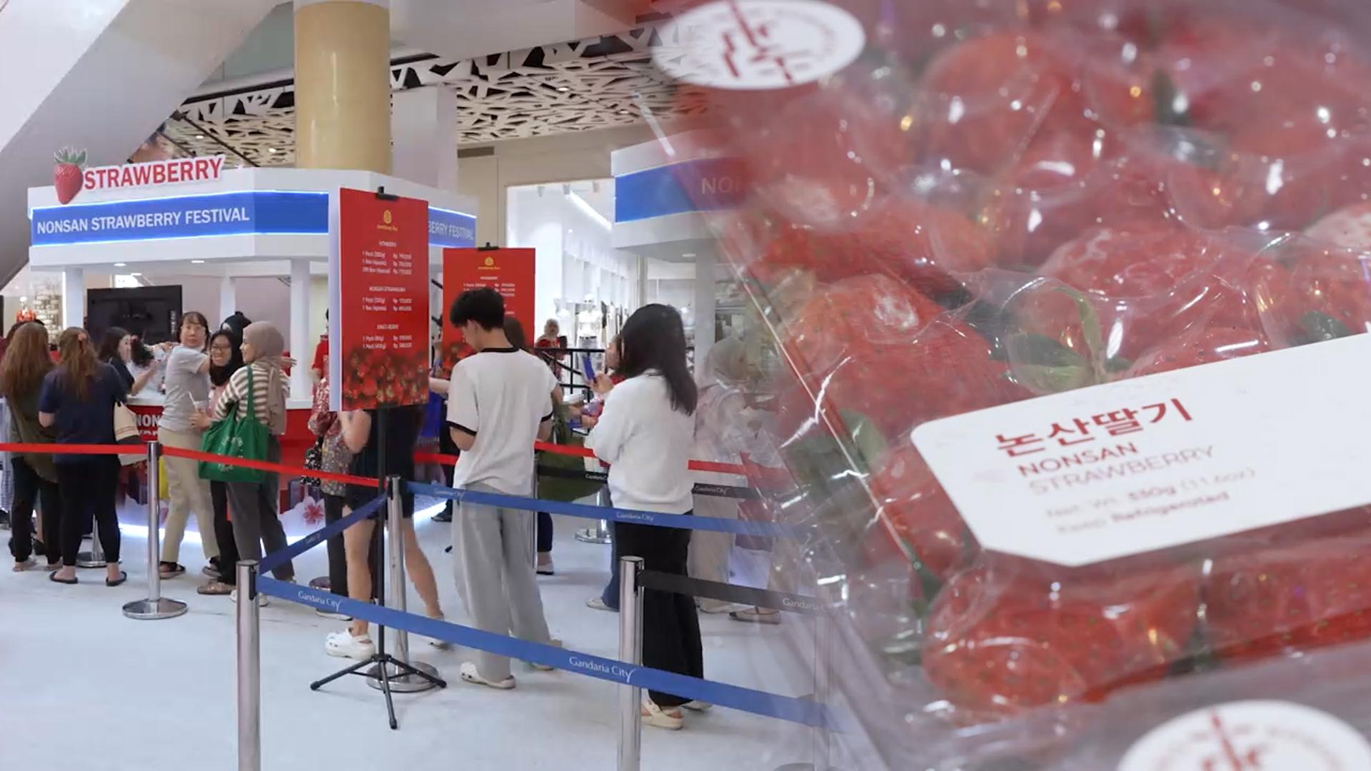 "큼직하고 달콤"…논산딸기 인니 입맛 사로잡아