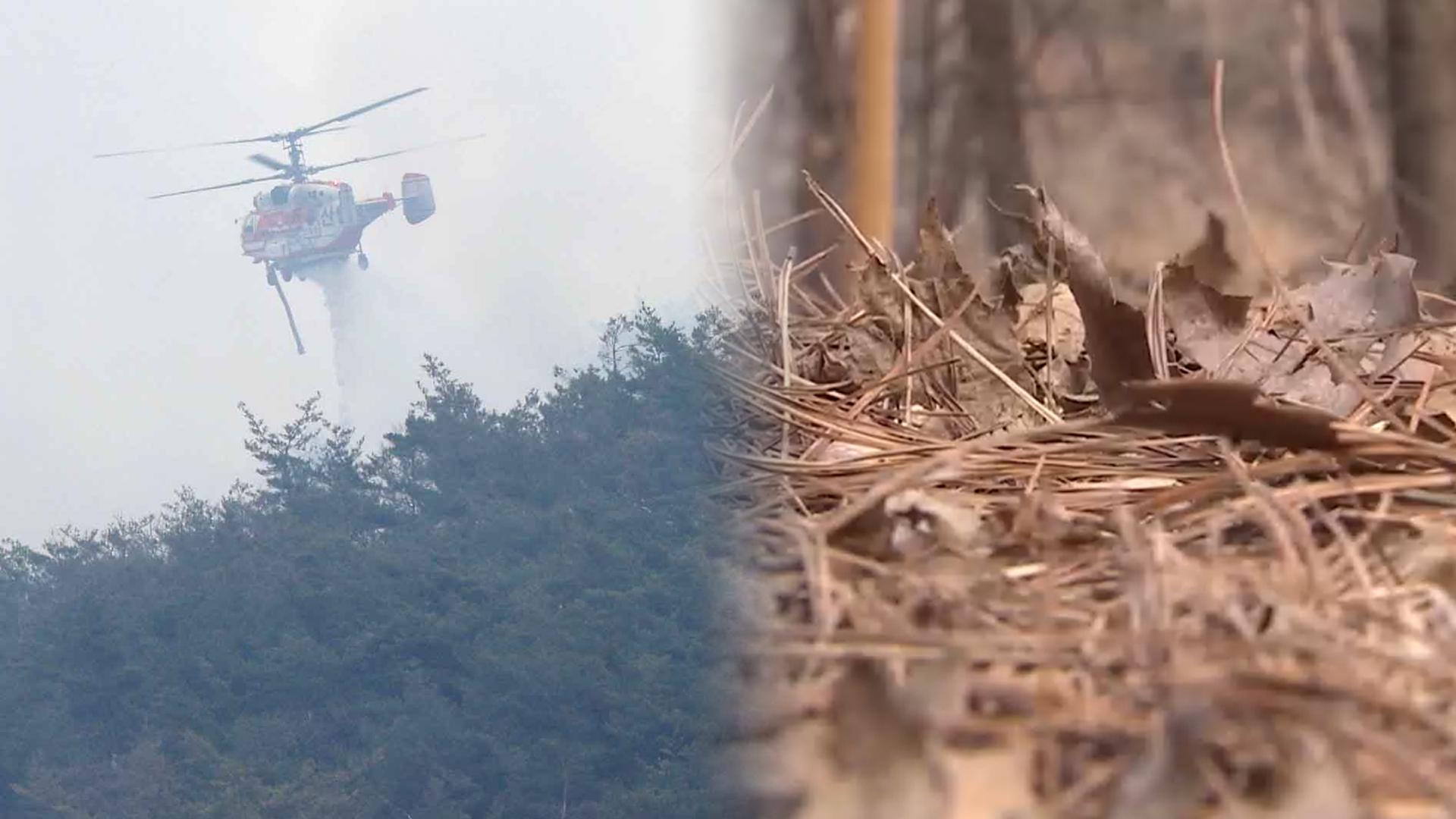 <em class='find'>밀양</em> 산불 20시간 만 주불 진화…건조·강풍 피해 키워