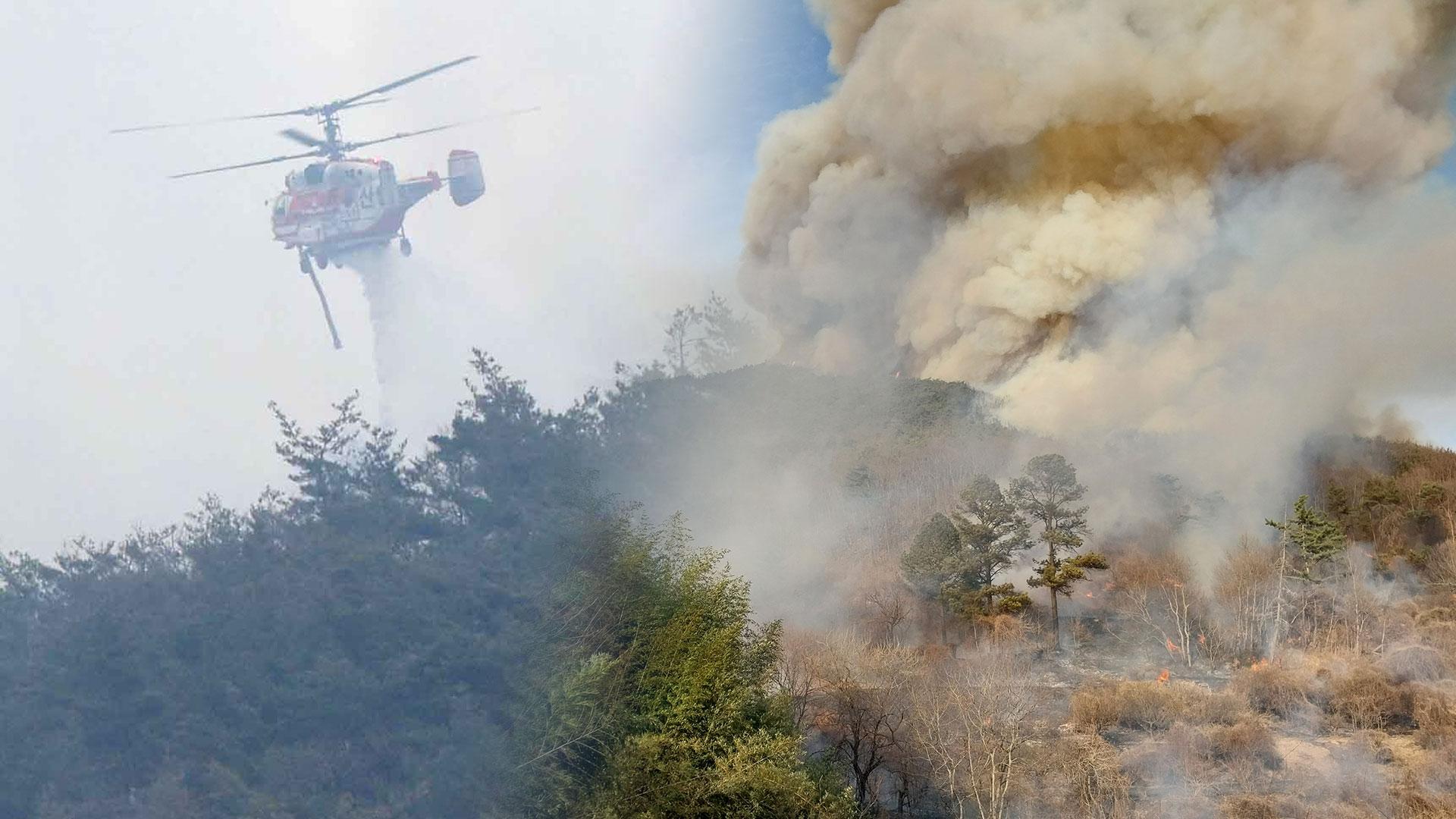 강수 0㎜ 밀양서 대형산불…3월도 산불 비상
