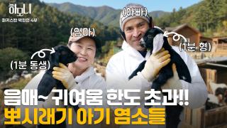 [연중기획 하모니] 현민과 화선의 산골 파라다이스 4부